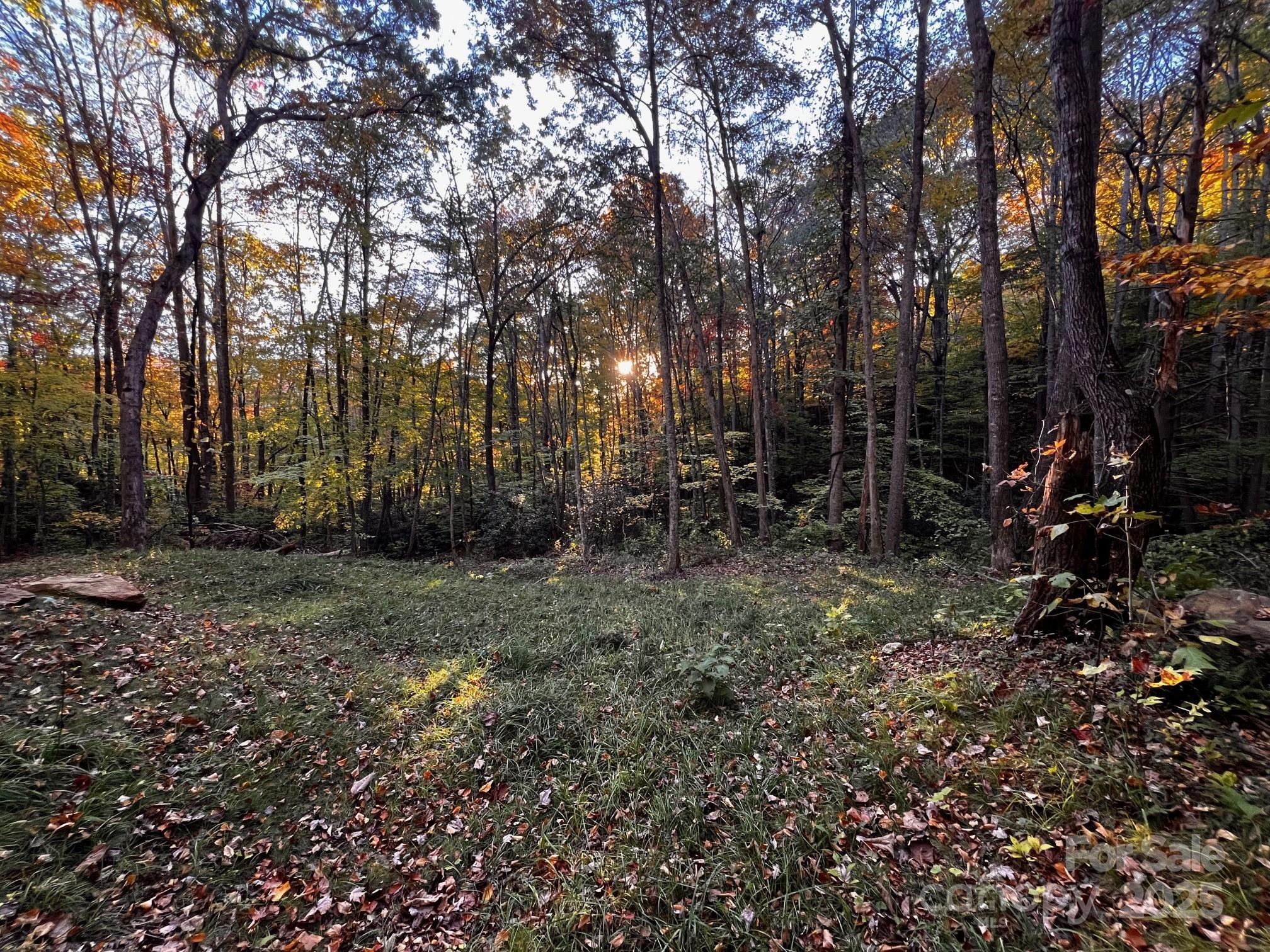 Springdale Estates - Land