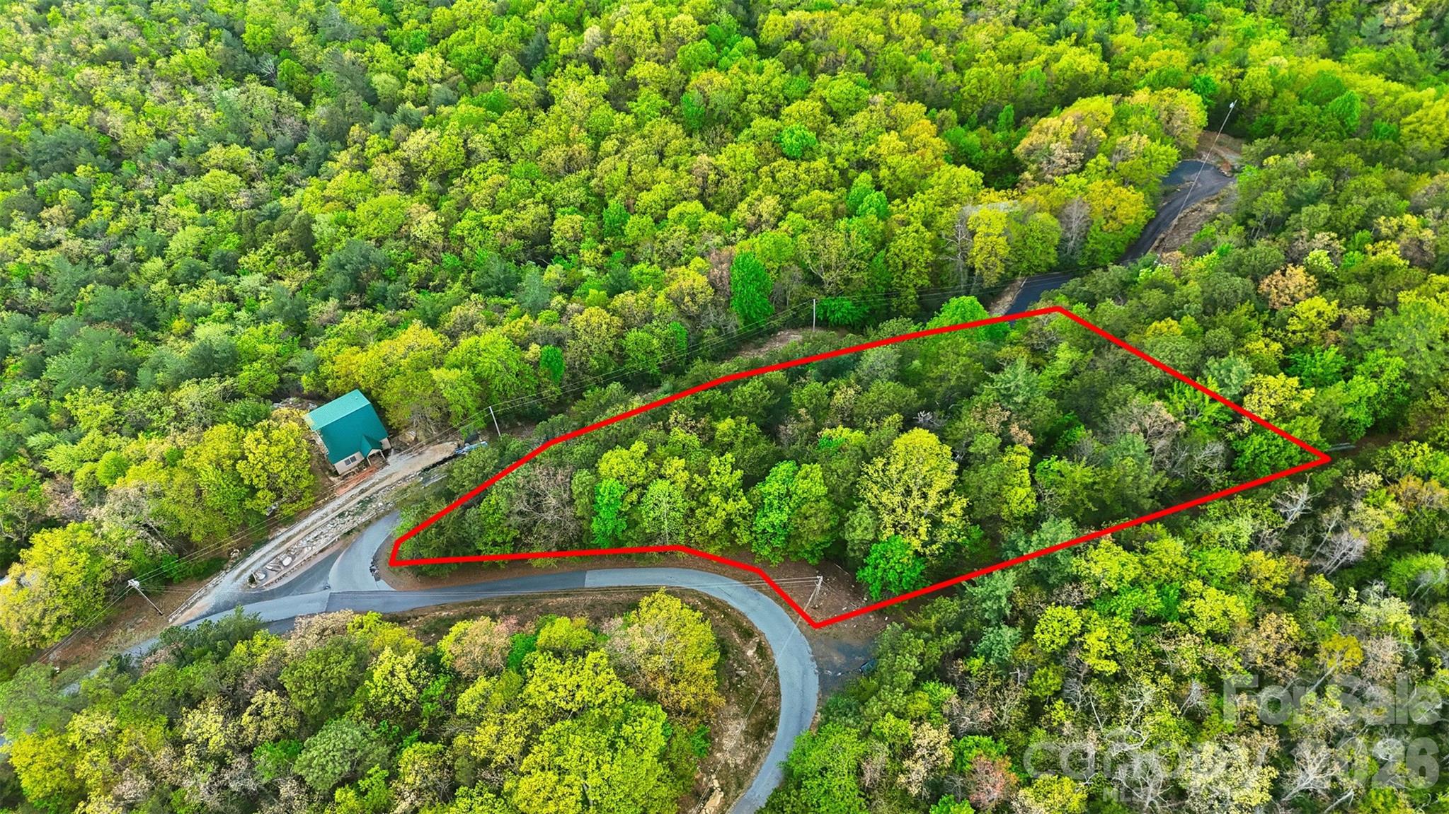 Linville Forest - Land