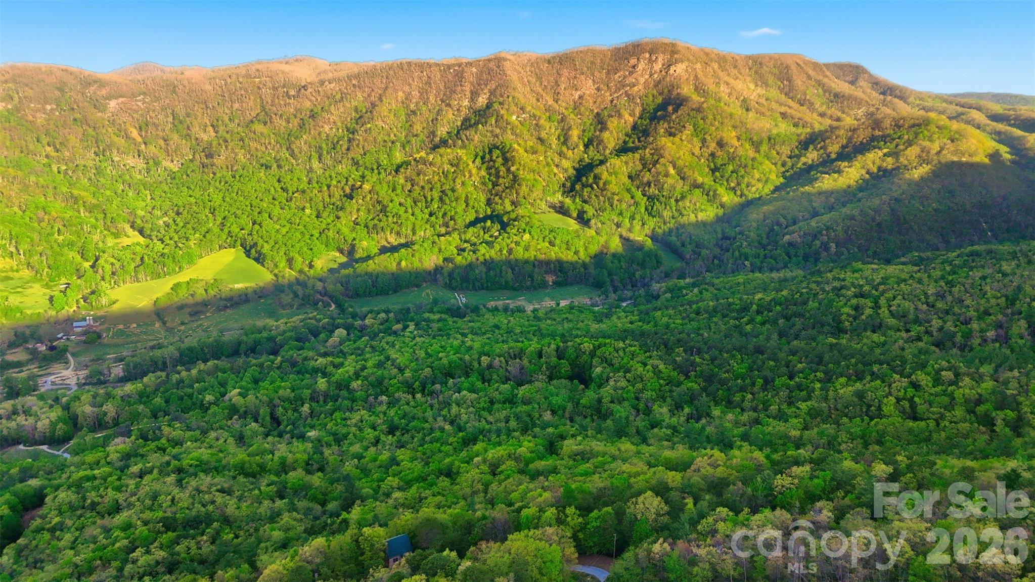 Linville Forest - Land