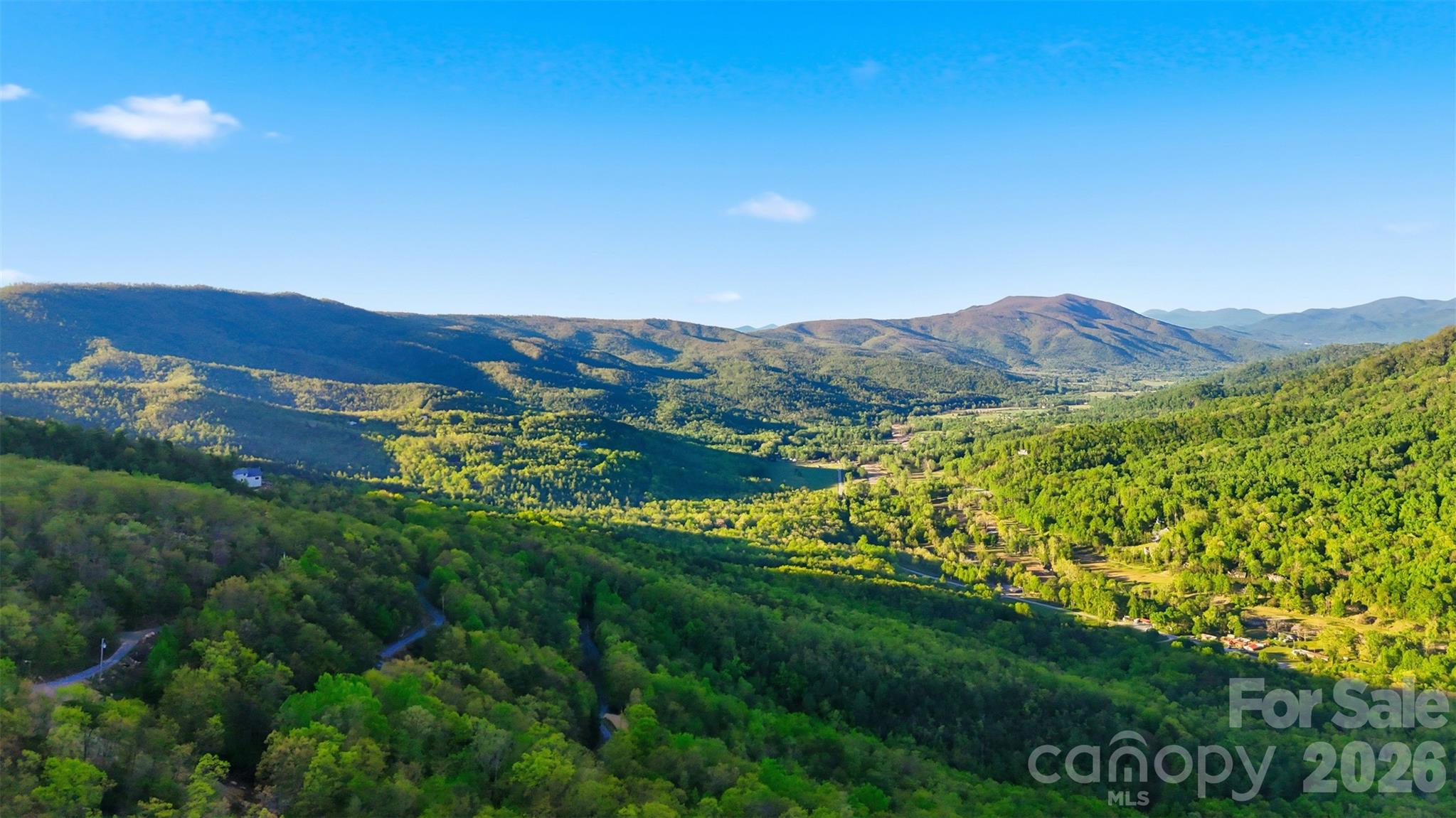 Linville Forest - Land