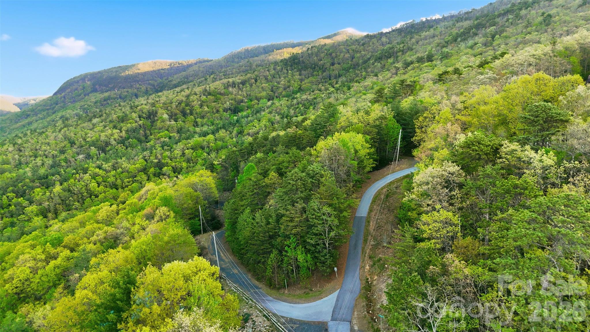 Linville Forest - Land