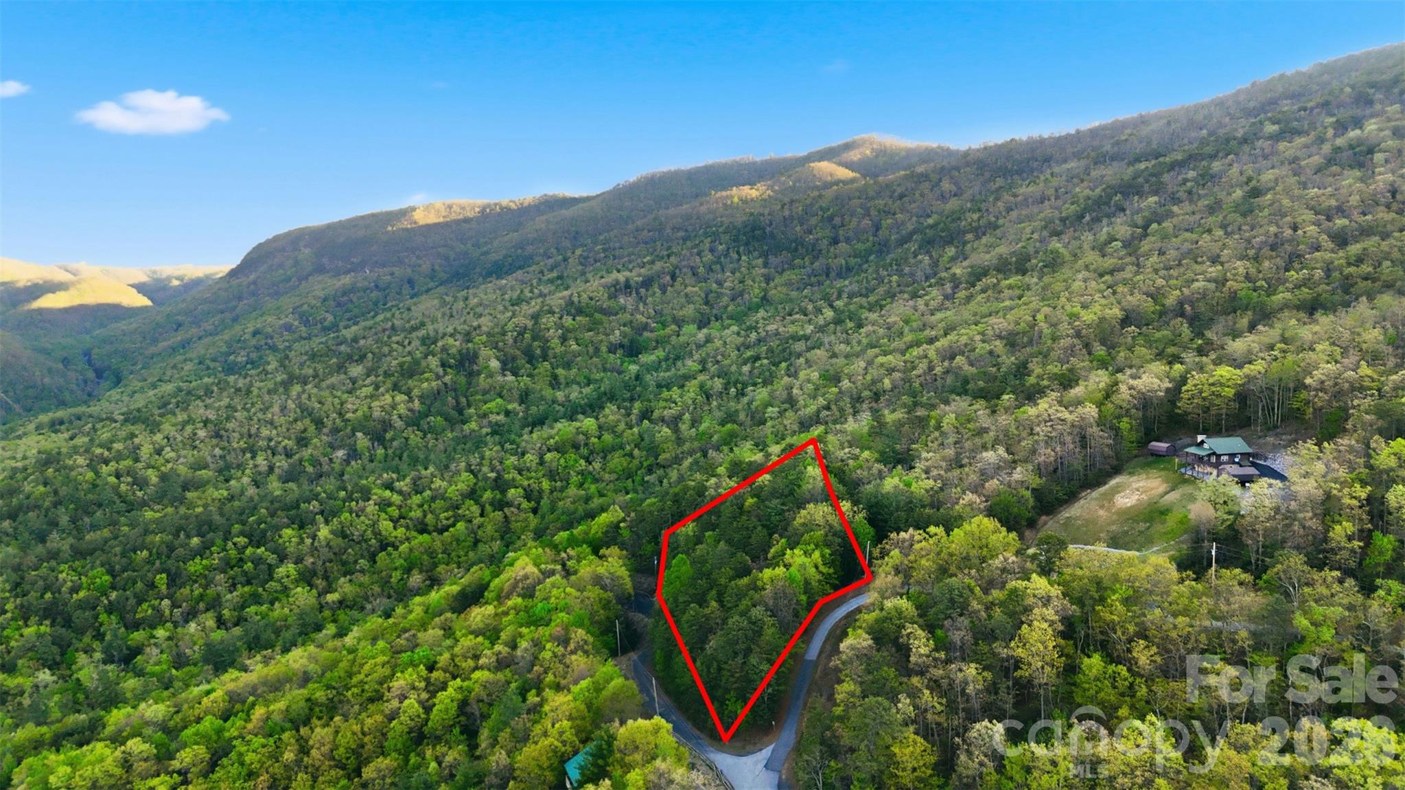 Linville Forest - Land