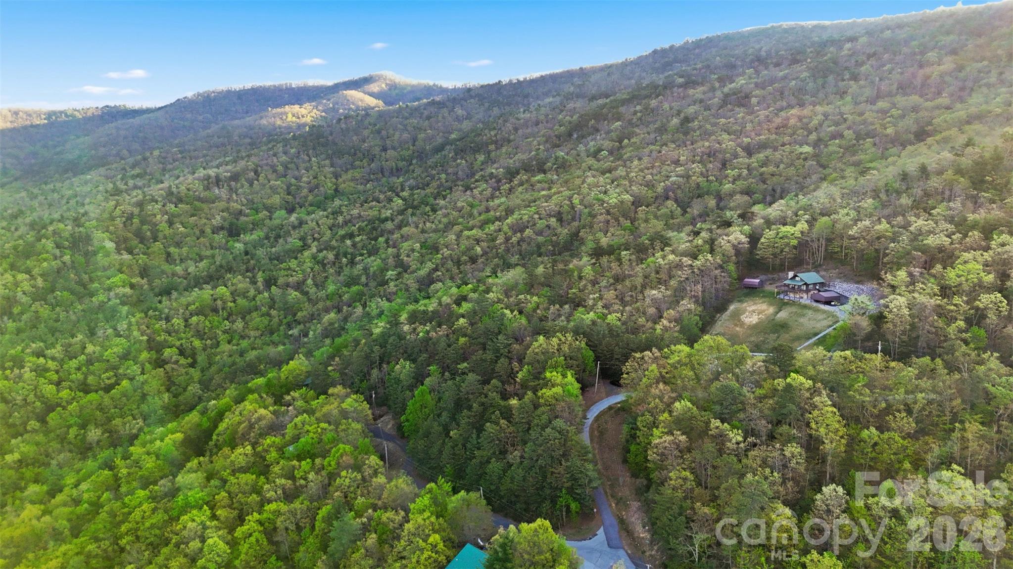 Linville Forest - Land