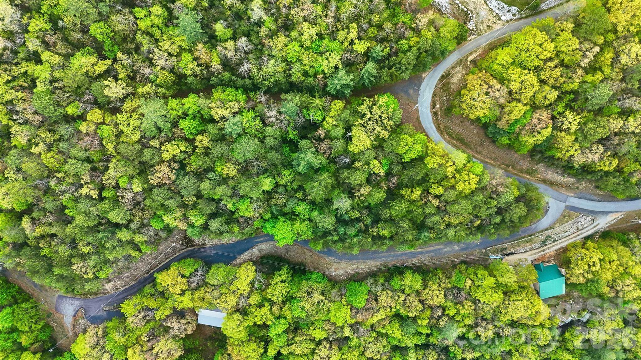 Linville Forest - Land