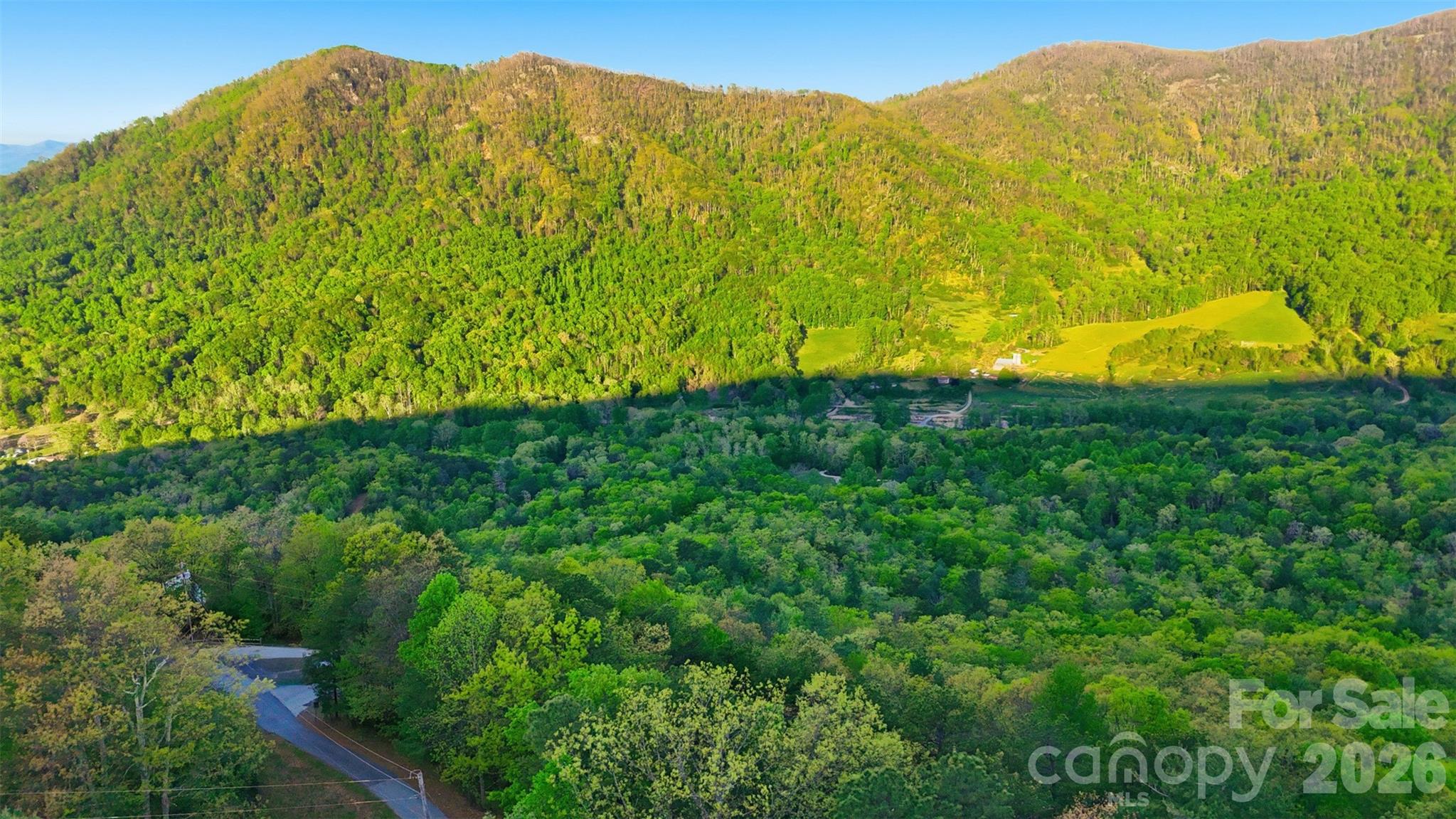 Linville Forest - Land