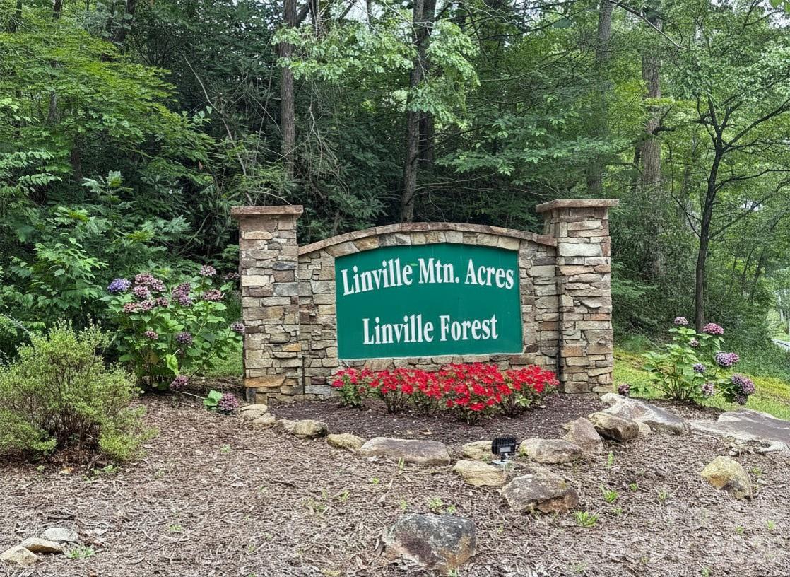Linville Forest - Land