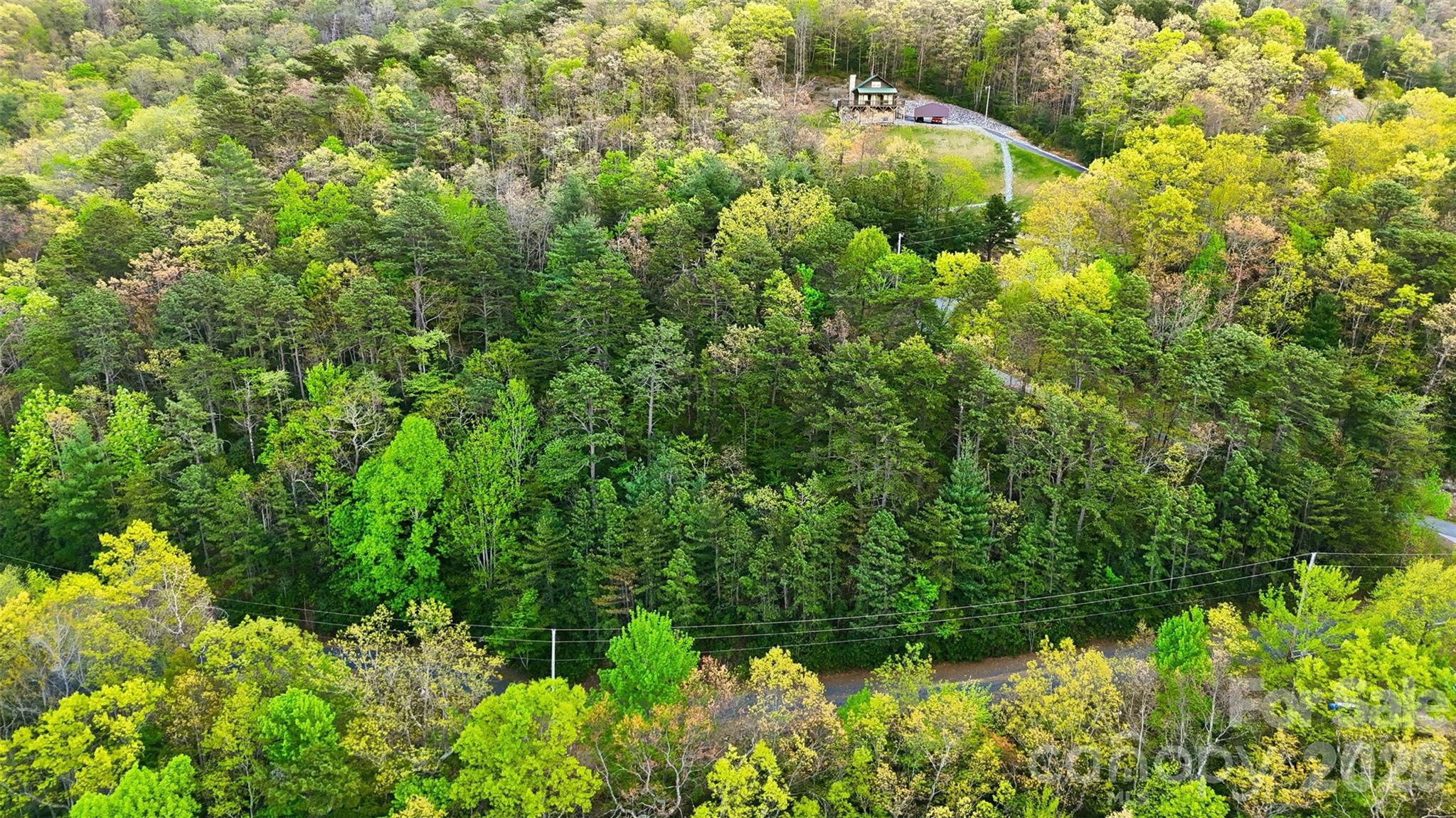 Linville Forest - Land