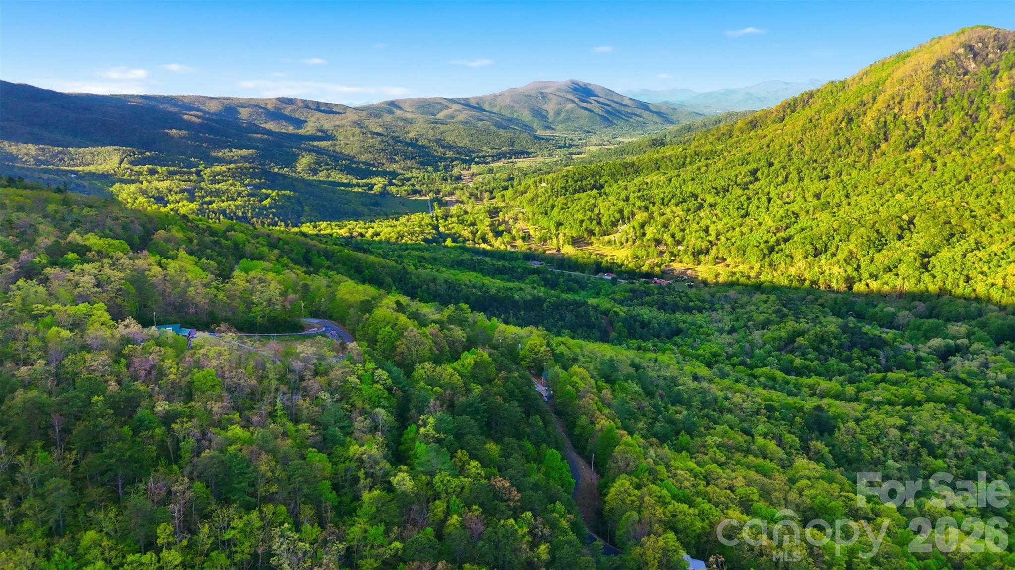 Linville Forest - Land