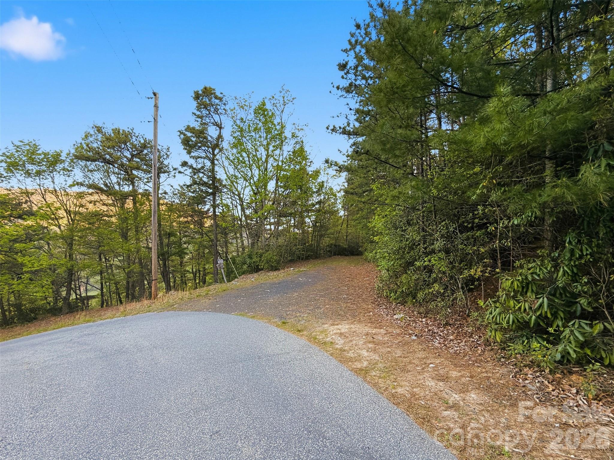 Linville Forest - Land