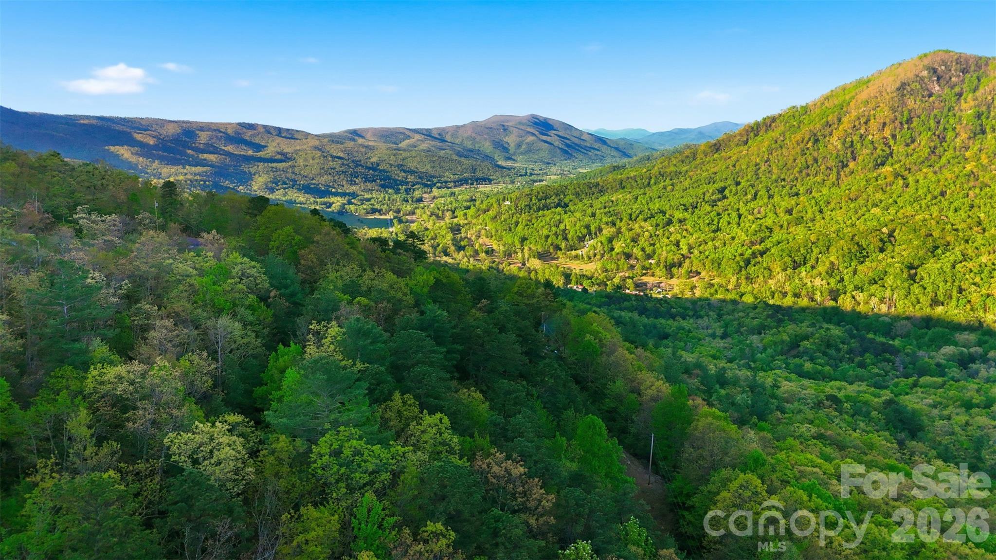 Linville Forest - Land