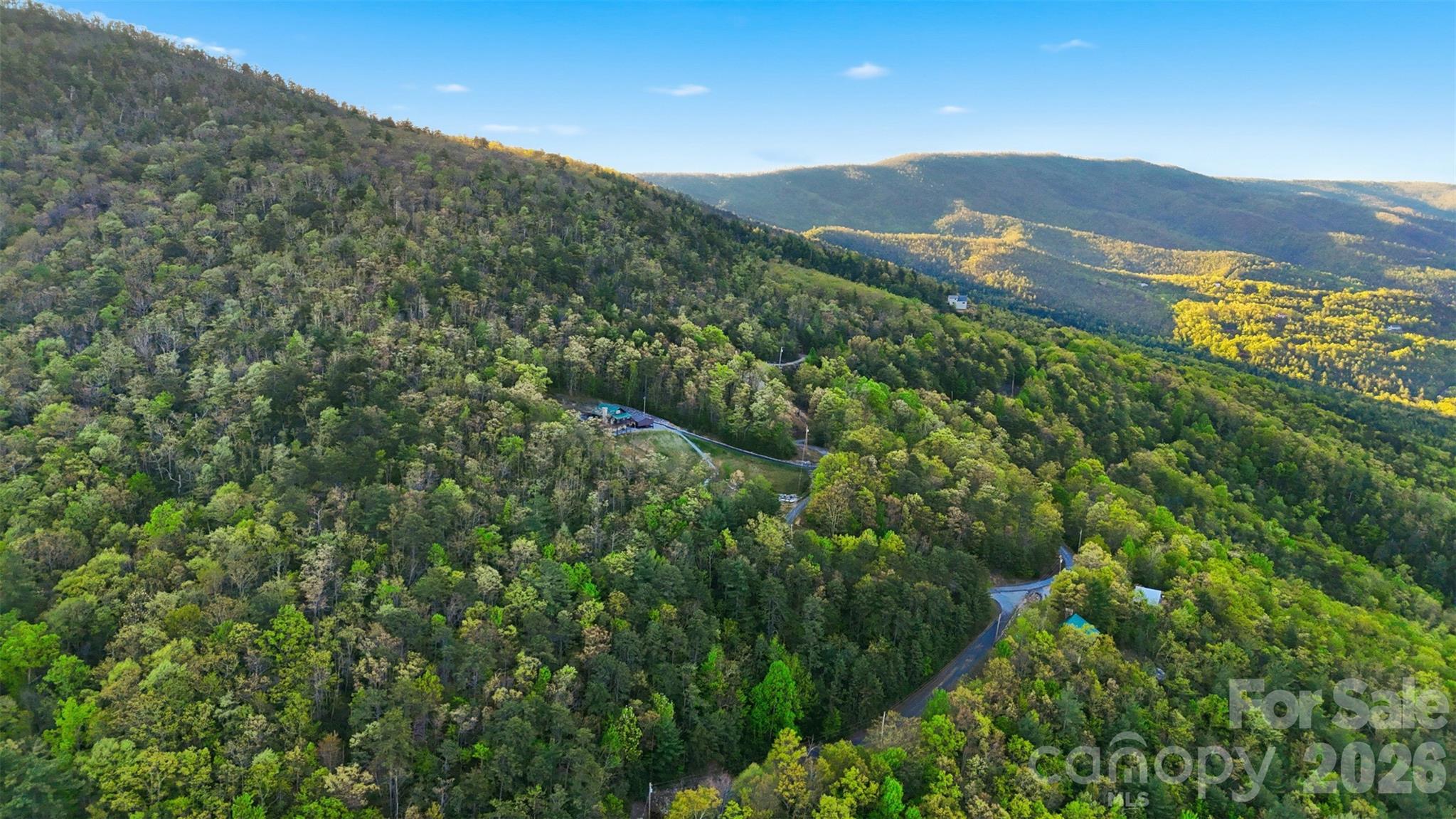 Linville Forest - Land