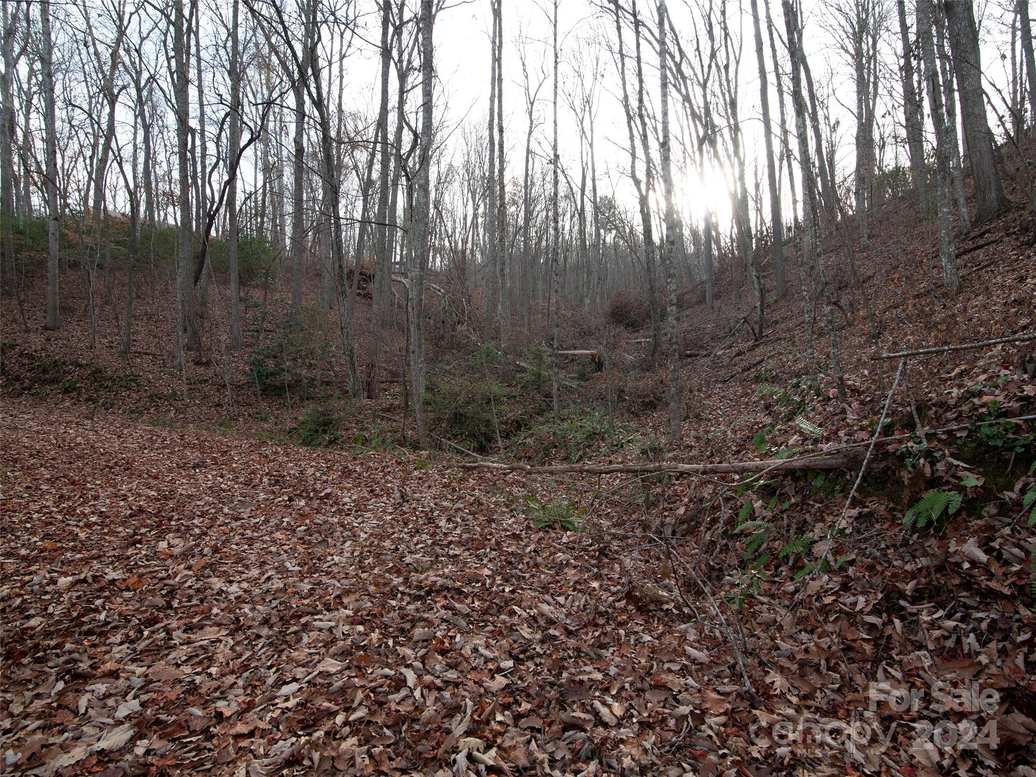 000 Beacon Rock Lane Lot 211