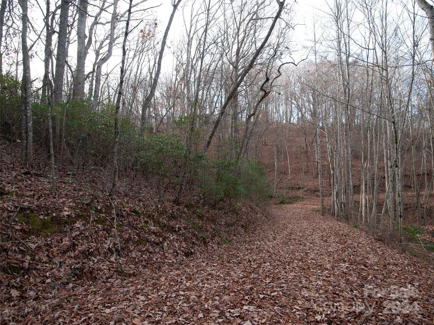 This desirable wooded residential lot is located right around the corner, on a short gravel road off
the beaten path, in a favorite established subdivision called Shadow Woods. Just 15 minutes from
downtown Waynesville, this sloping lot is truly tucked into the woods with a small stream running
through it. It fronts Beacon Rock Lane and offers a lovely winter mountain view after the beautiful
fall color passes and a cooler shaded environment to insulate you in the warmer months. The main
roads in Shadow Woods to reach this lot are paved and well maintained. Take time to explore this
one if your desire is a remote mountain feel conveniently close to town.