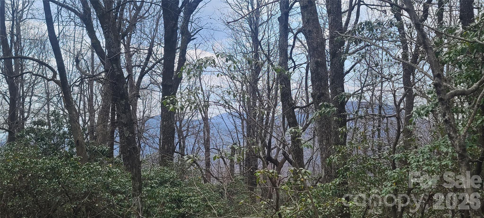 High Cliffs At Round Mountain - Land