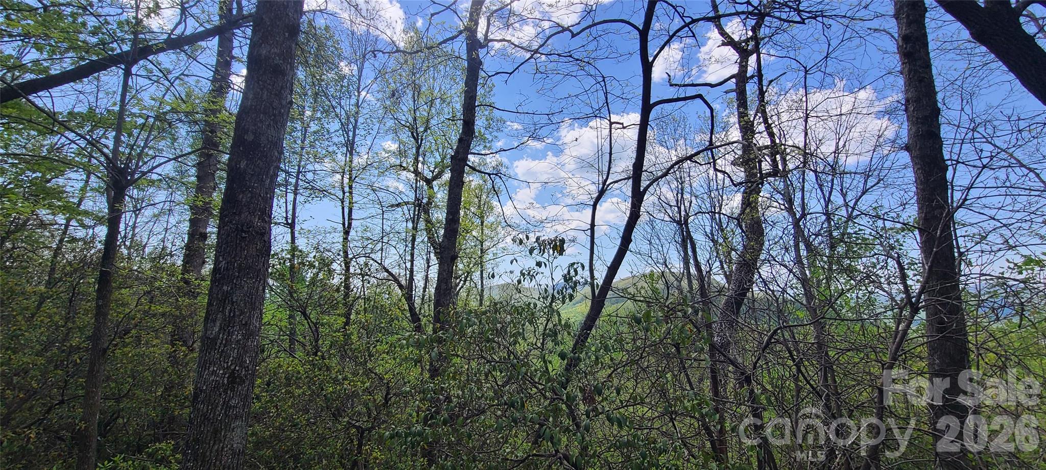 High Cliffs At Round Mountain - Land
