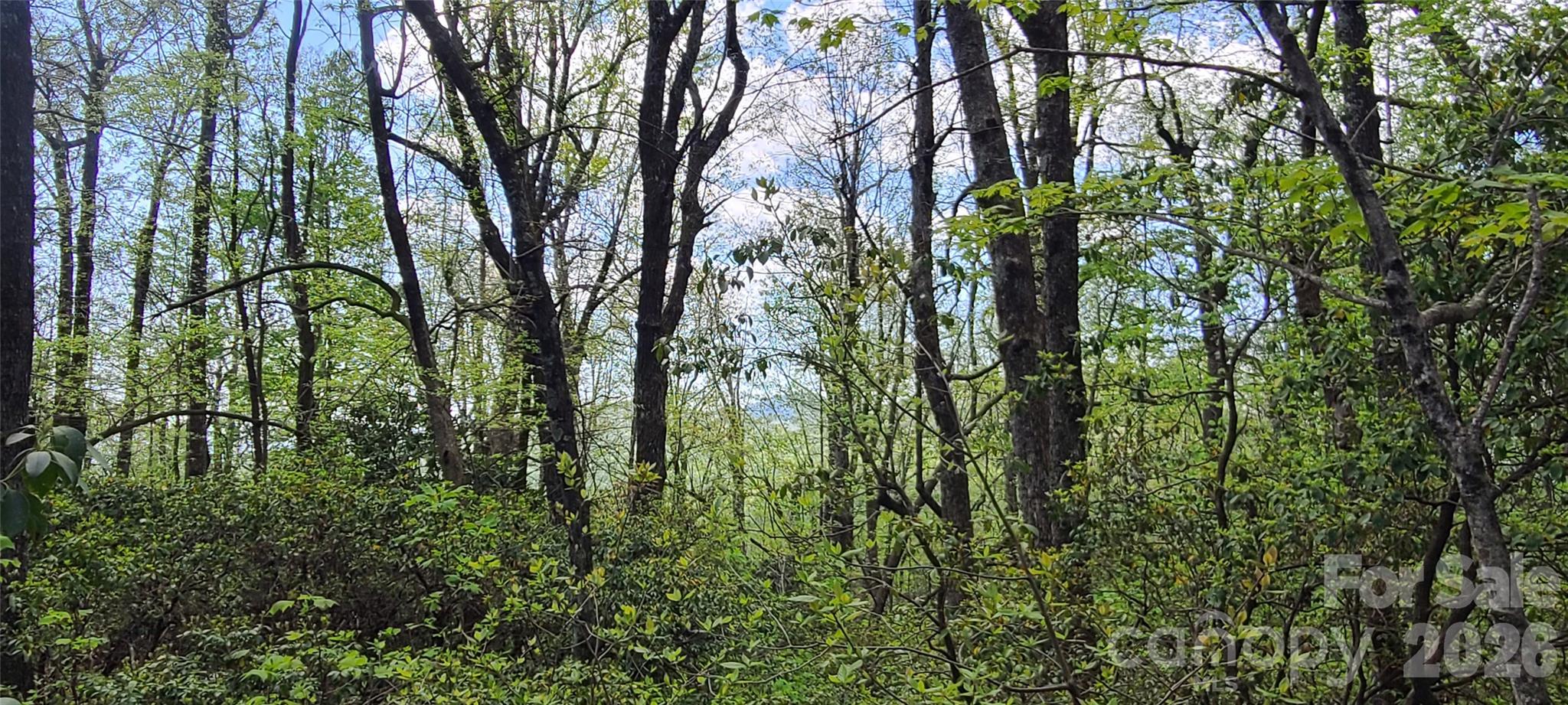High Cliffs At Round Mountain - Land