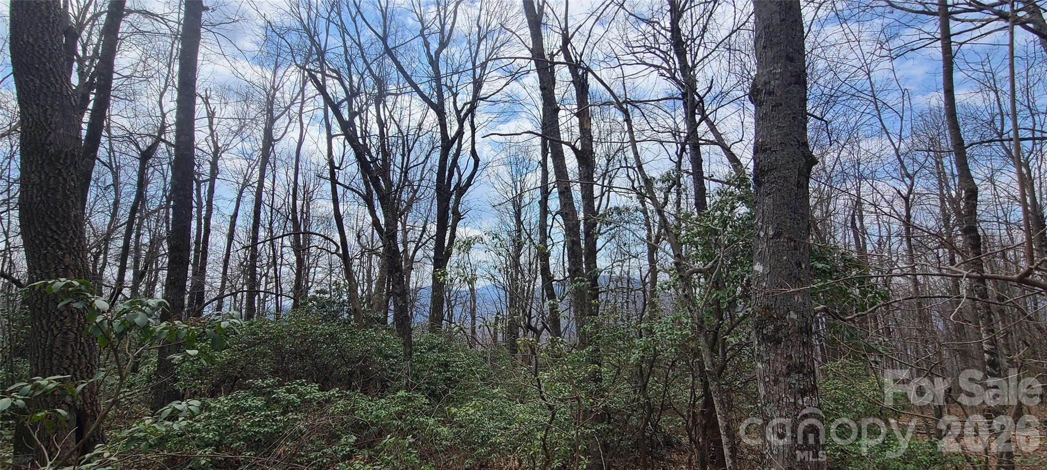 High Cliffs At Round Mountain - Land