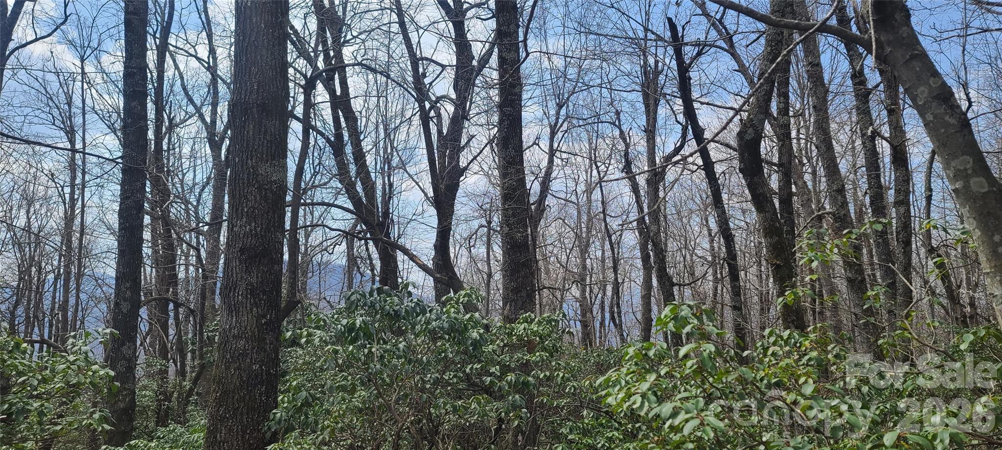 High Cliffs At Round Mountain - Land