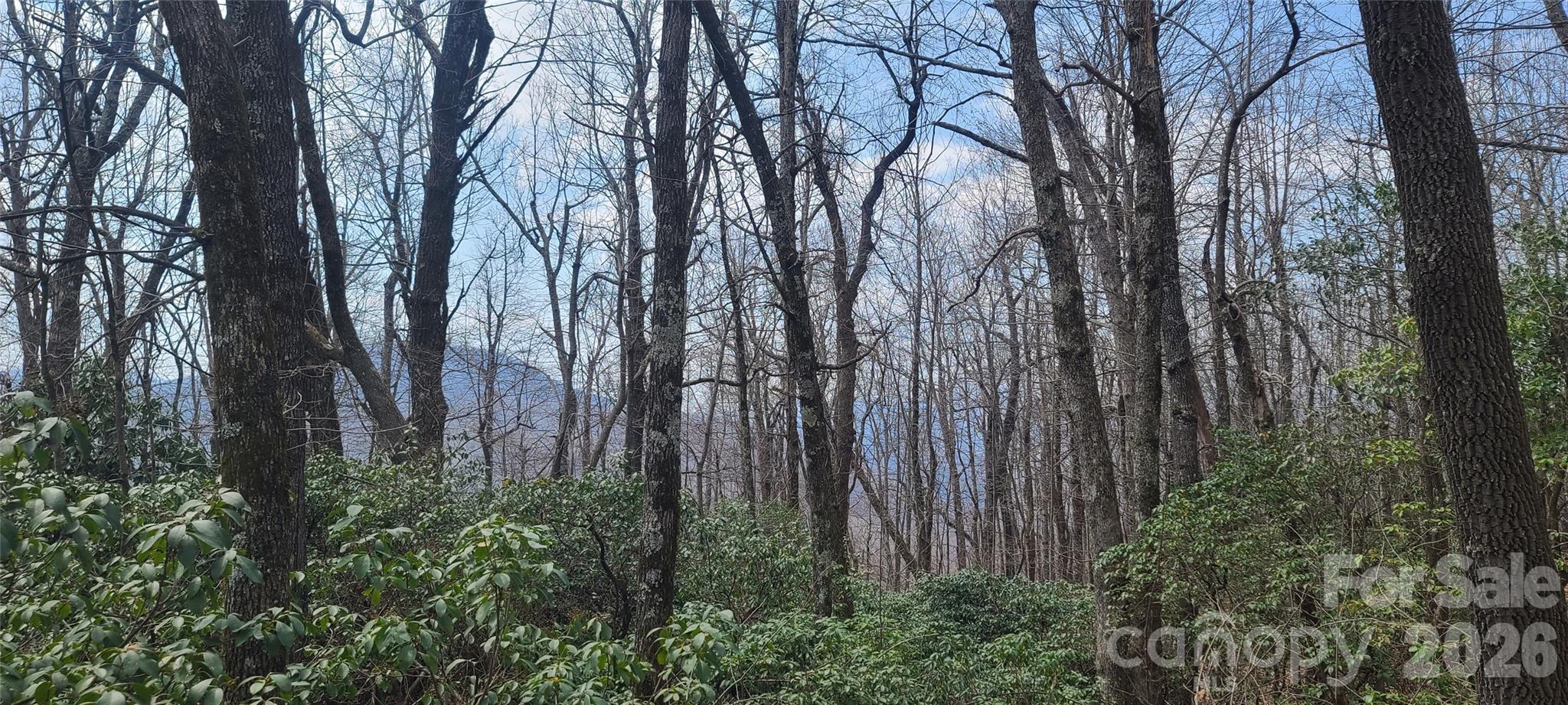 High Cliffs At Round Mountain - Land