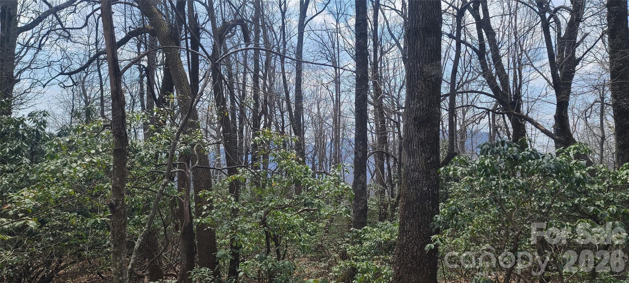 High Cliffs At Round Mountain - Land
