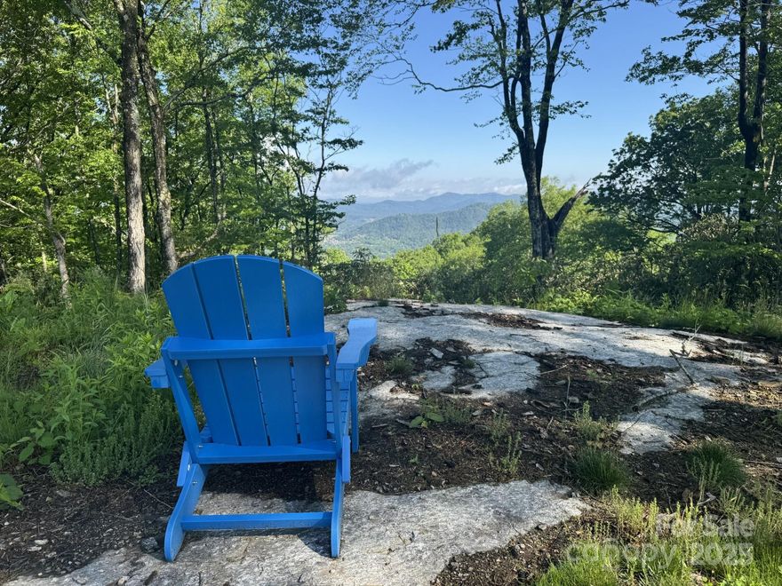 Homesite 63 is one of a kind. With beautiful NW facing views, this lot captures beautiful sunsets. Explore all the unique rock out cropping's and fun outdoor spaces this homesite has to offer.   
Sprout is Asheville and Hendersonville's newest conservation community offering the residents a place to live a healthy in a nature focused way while still enjoying the comforts of connecting with your neighbors as well as being conveniently located. The community gives owners a way to connect with nature through the community gardens and miles of hiking and mountain biking trails that wind throughout the 150 acre conservation preserve. The conservation area cannot ever be developed in the future and is only for the enjoyment of Sprout owners. Sprout also encourages the use of green building practices such solar panels, geothermal systems as well as qualifying for an Energy Star Certification.