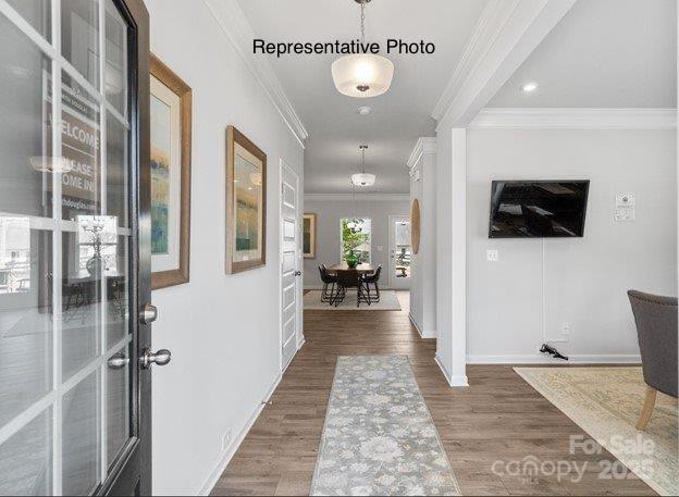37 Wendall Lane