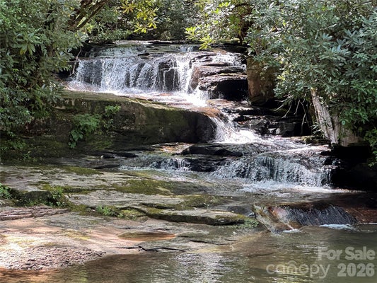 30 ABBY FALLS DRIVE # 30, ROSMAN, NC 28772 - Image bb230c9d7f0ece32ef2c8565db33f9c4/3960109982