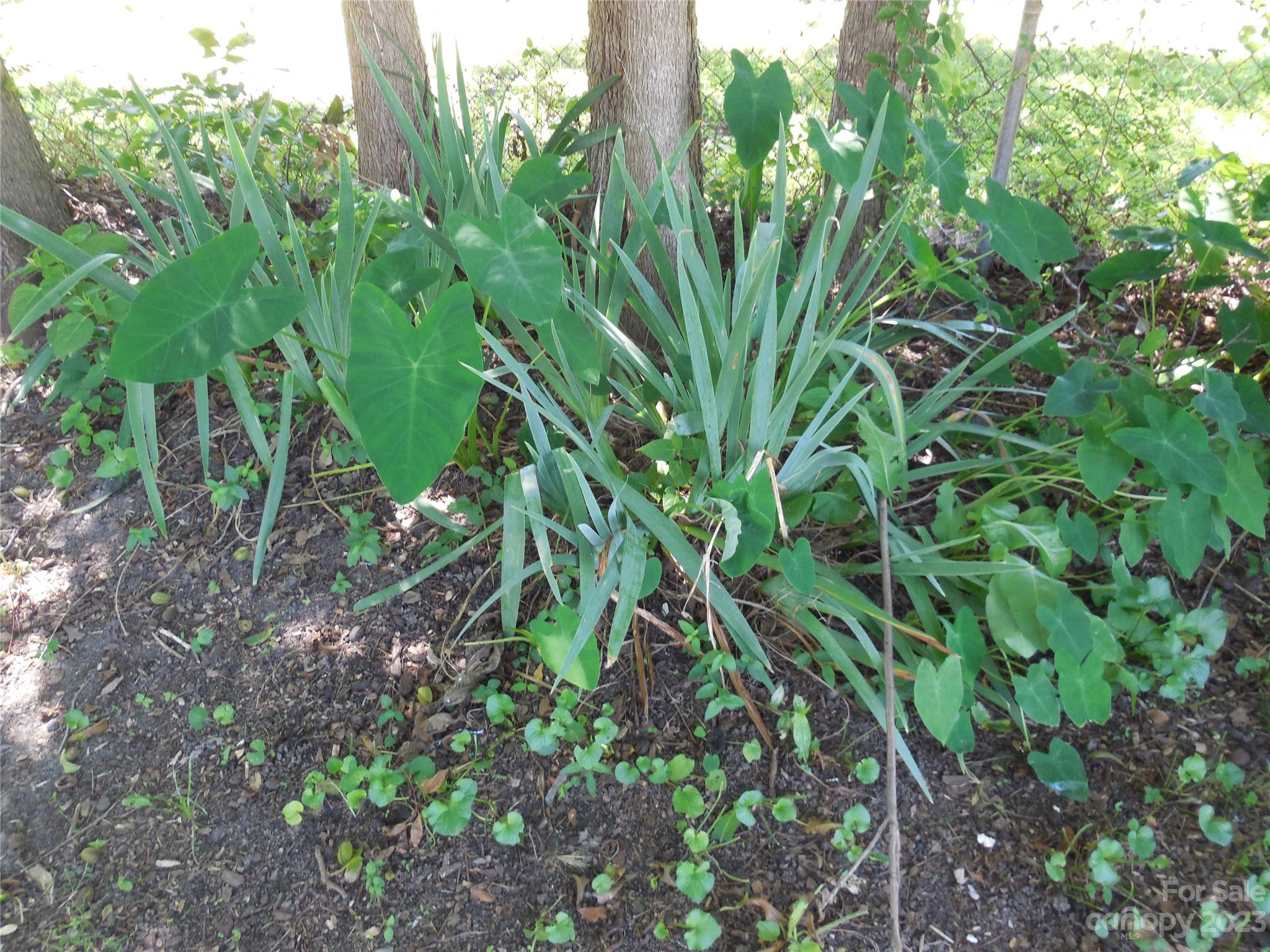 The Lesavoy Foundation - Residential