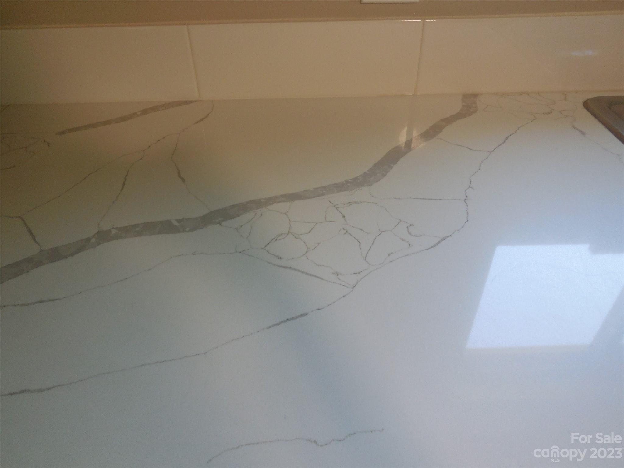 The Lesavoy Foundation - Residential