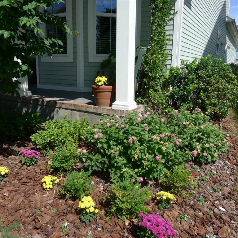 Springfield - Residential