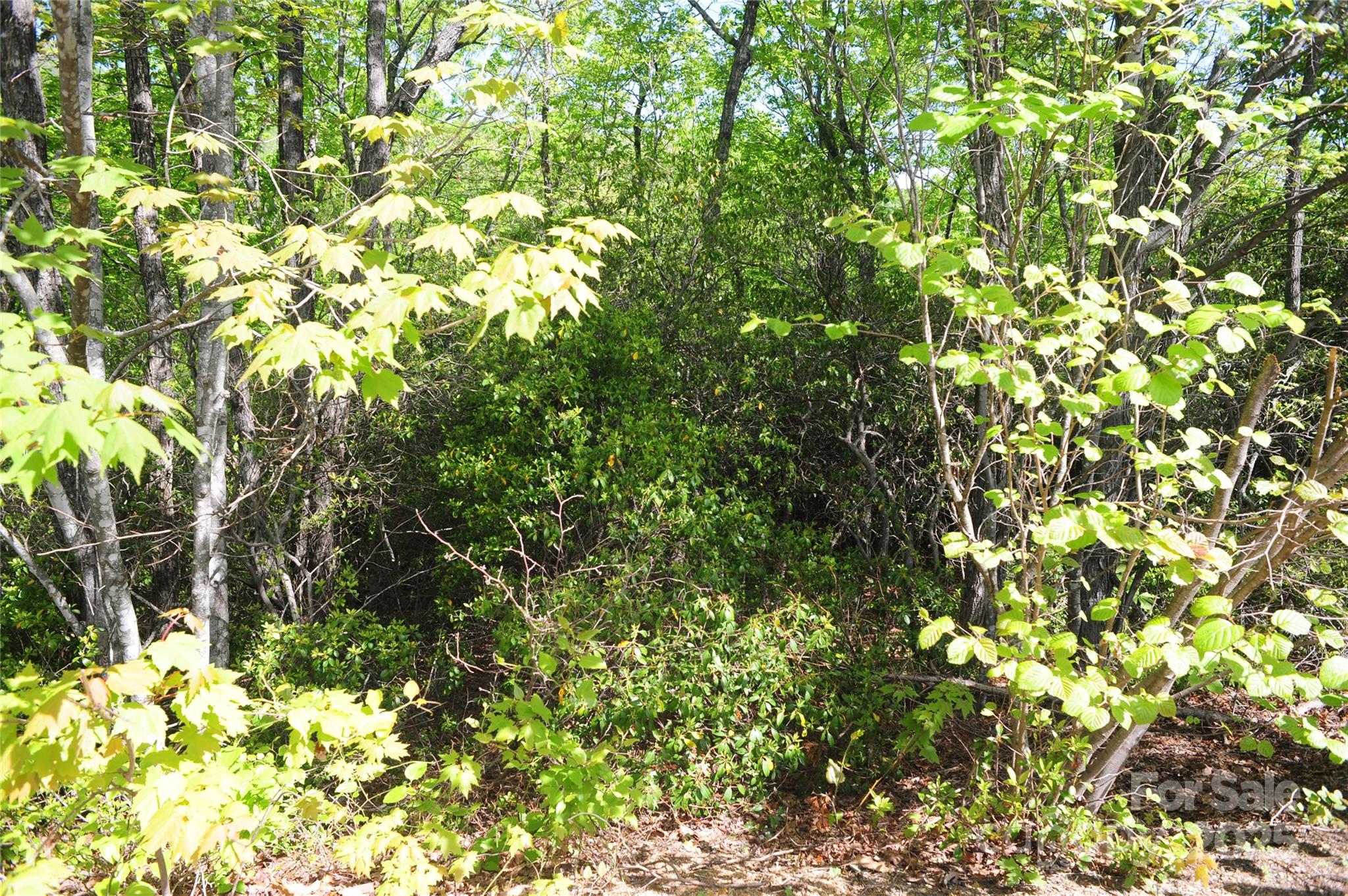 99999 Mountain Falls Trail 71