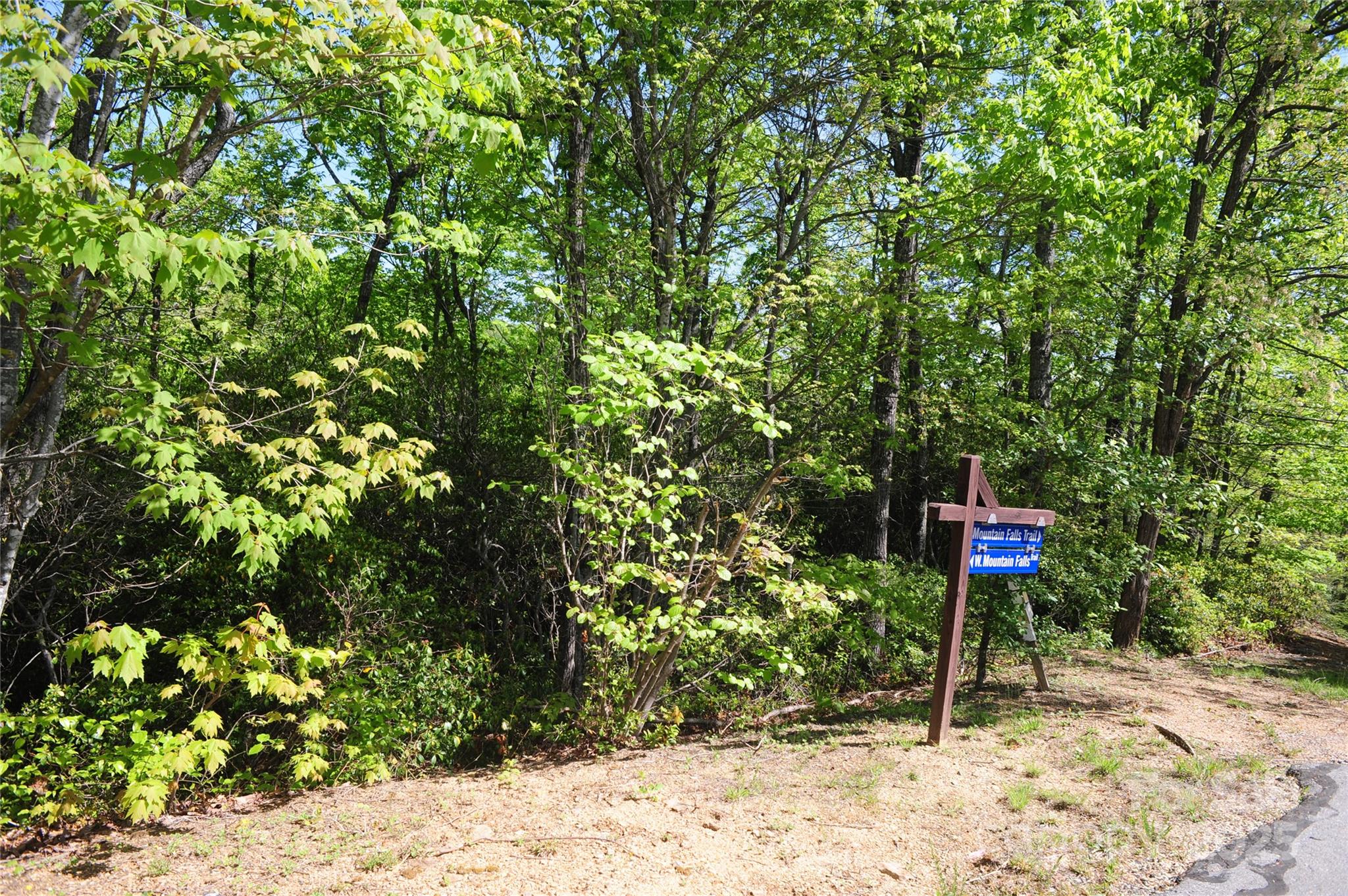 Catawba Falls Preserve - Land
