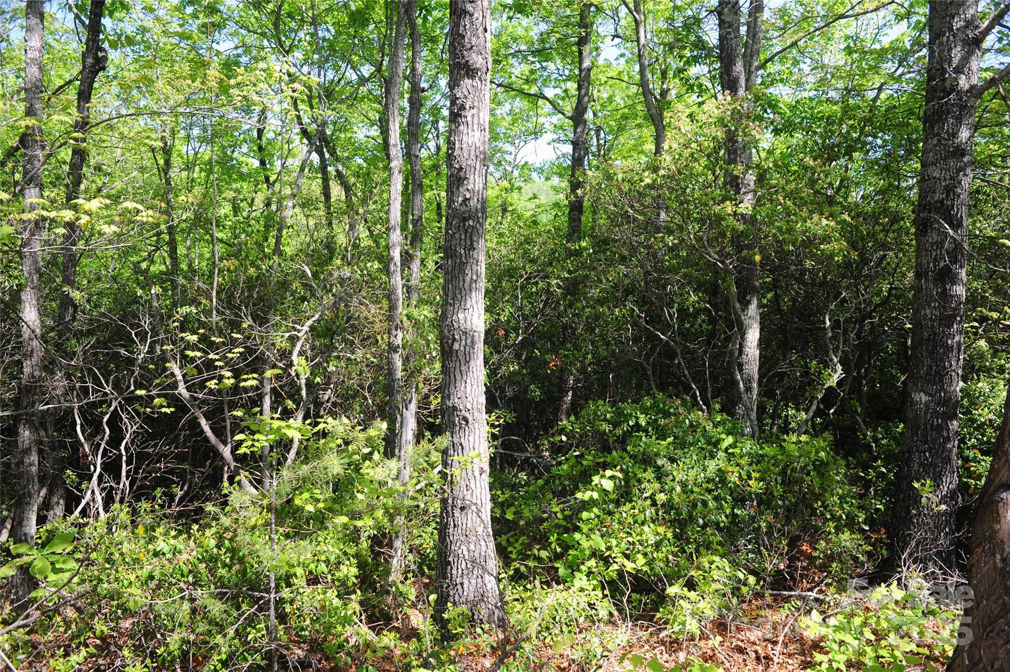 99999 Mountain Falls Trail 71