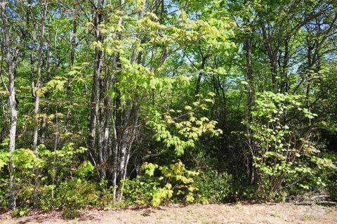 99999 Mountain Falls Trail 71 Black Mountain NC 28711