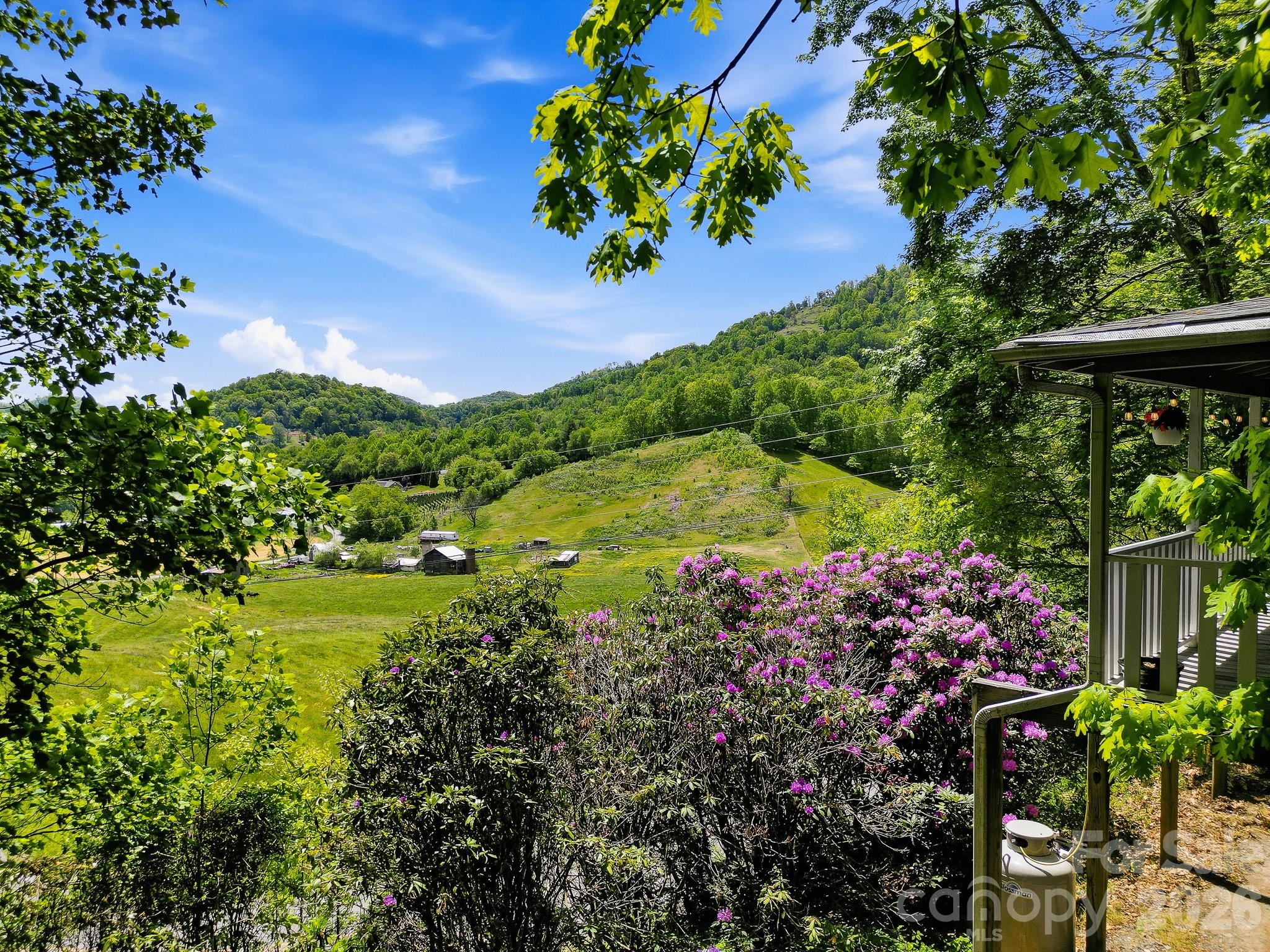 2131 Coleman Mountain Road 7