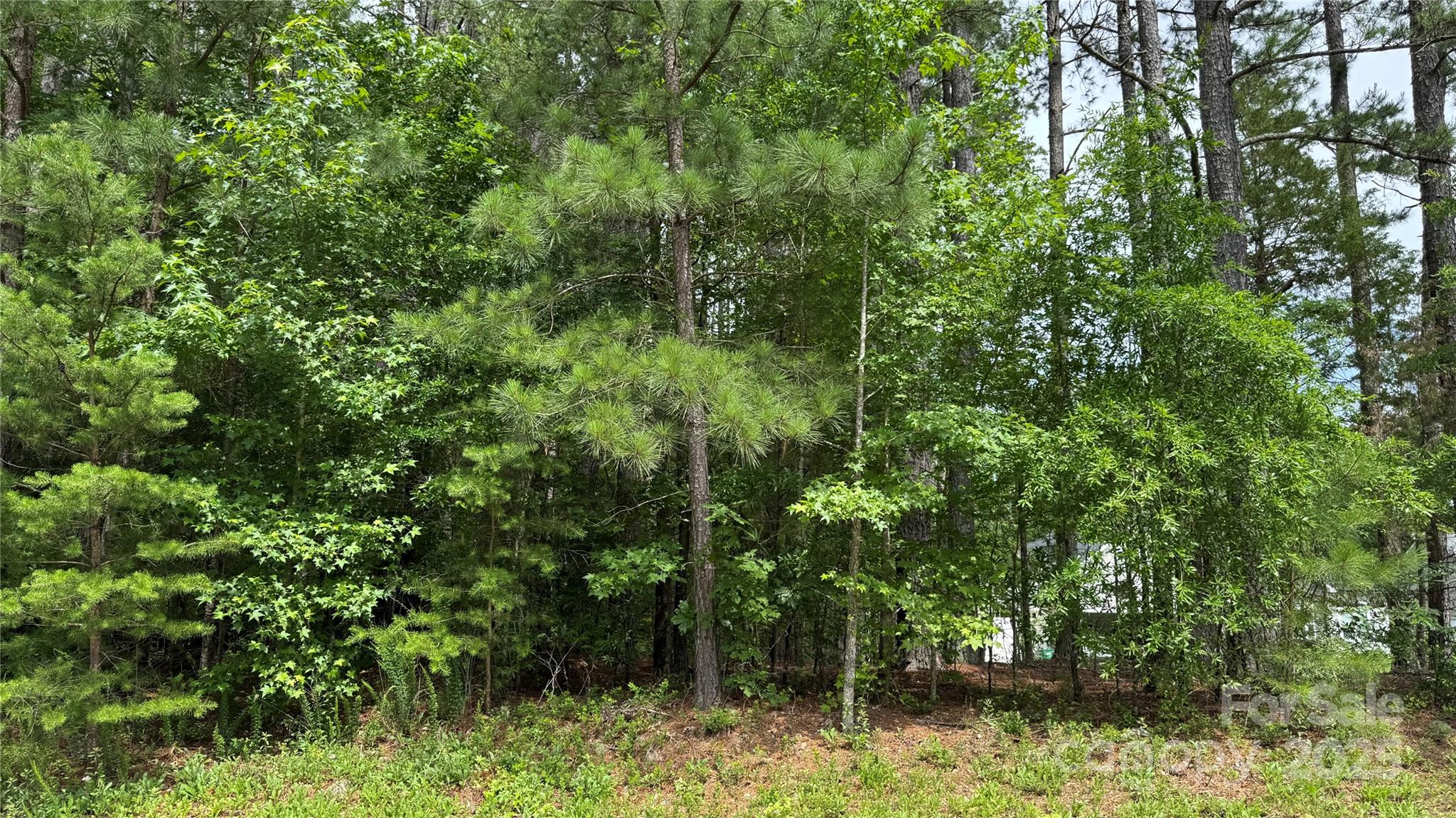 Sunset Pointe - Land