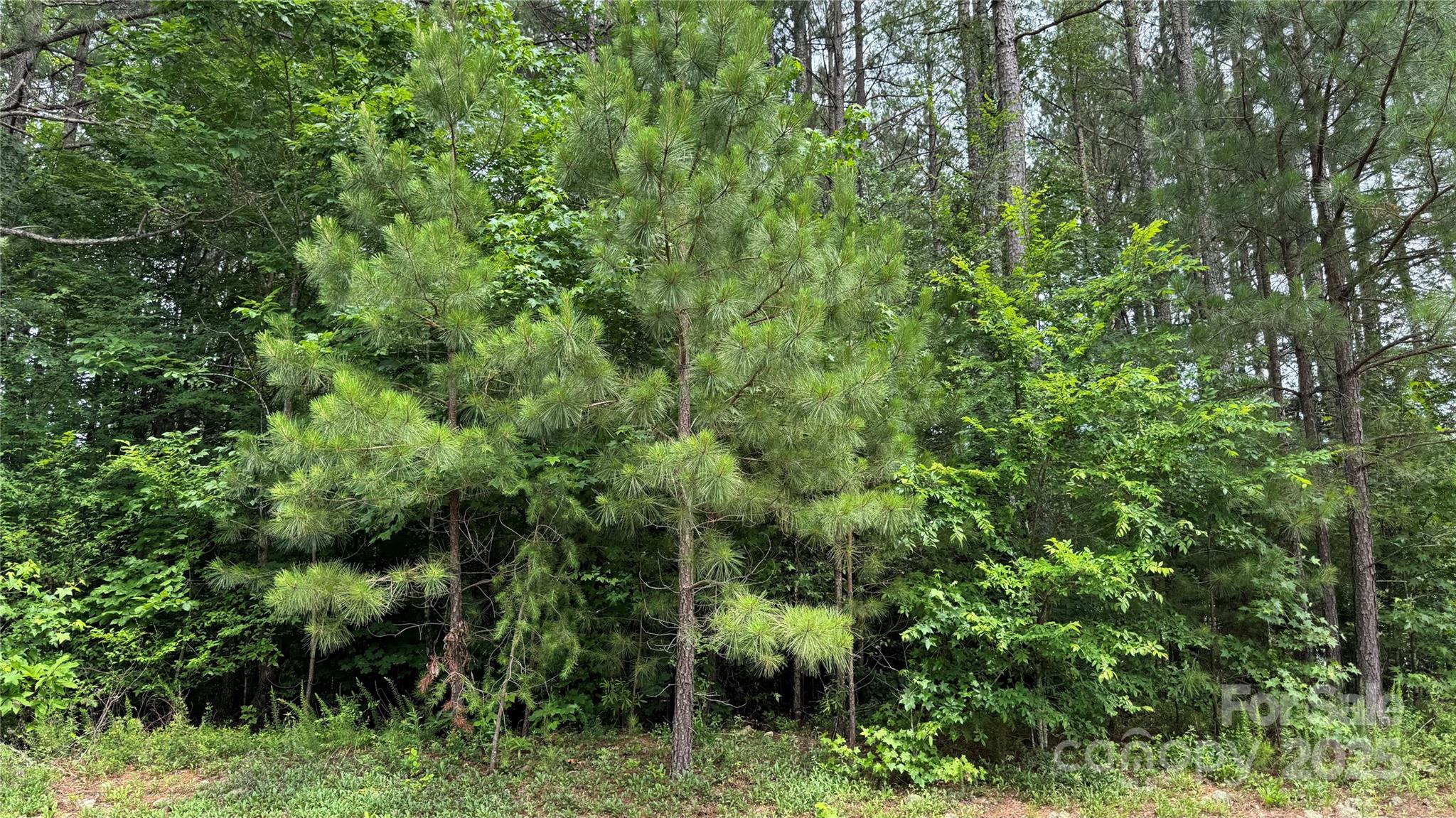 Sunset Pointe - Land