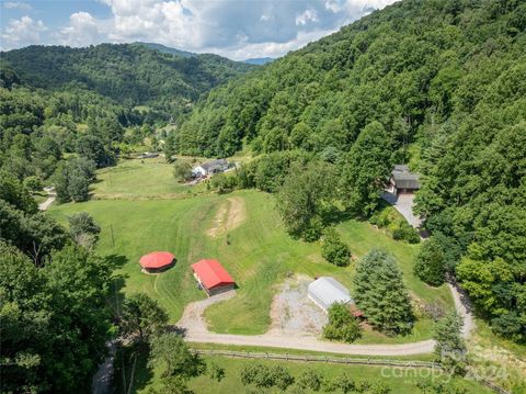 1499 Turkey Creek Road Clyde NC 28721