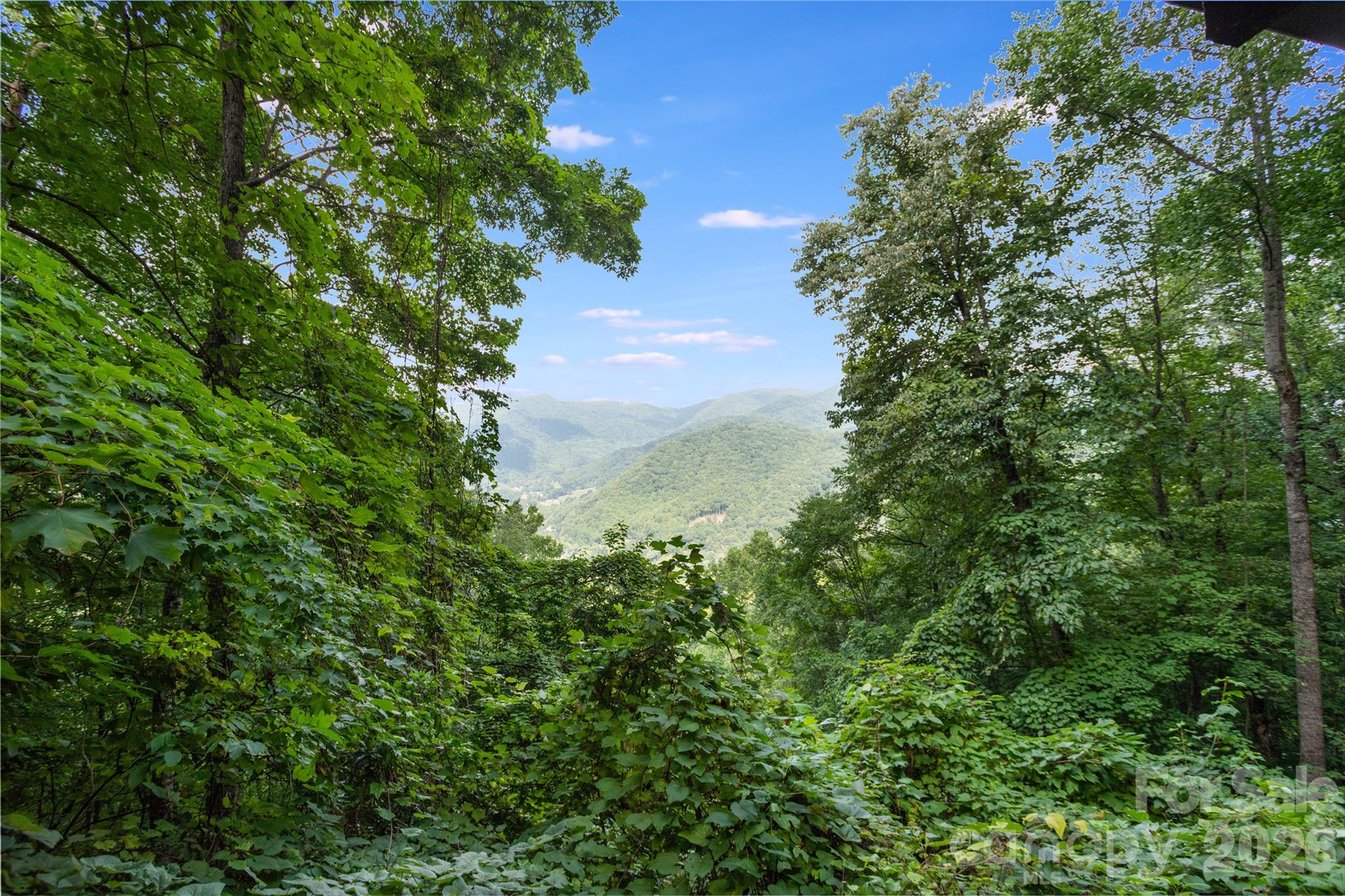 Maggie Valley Development - Residential