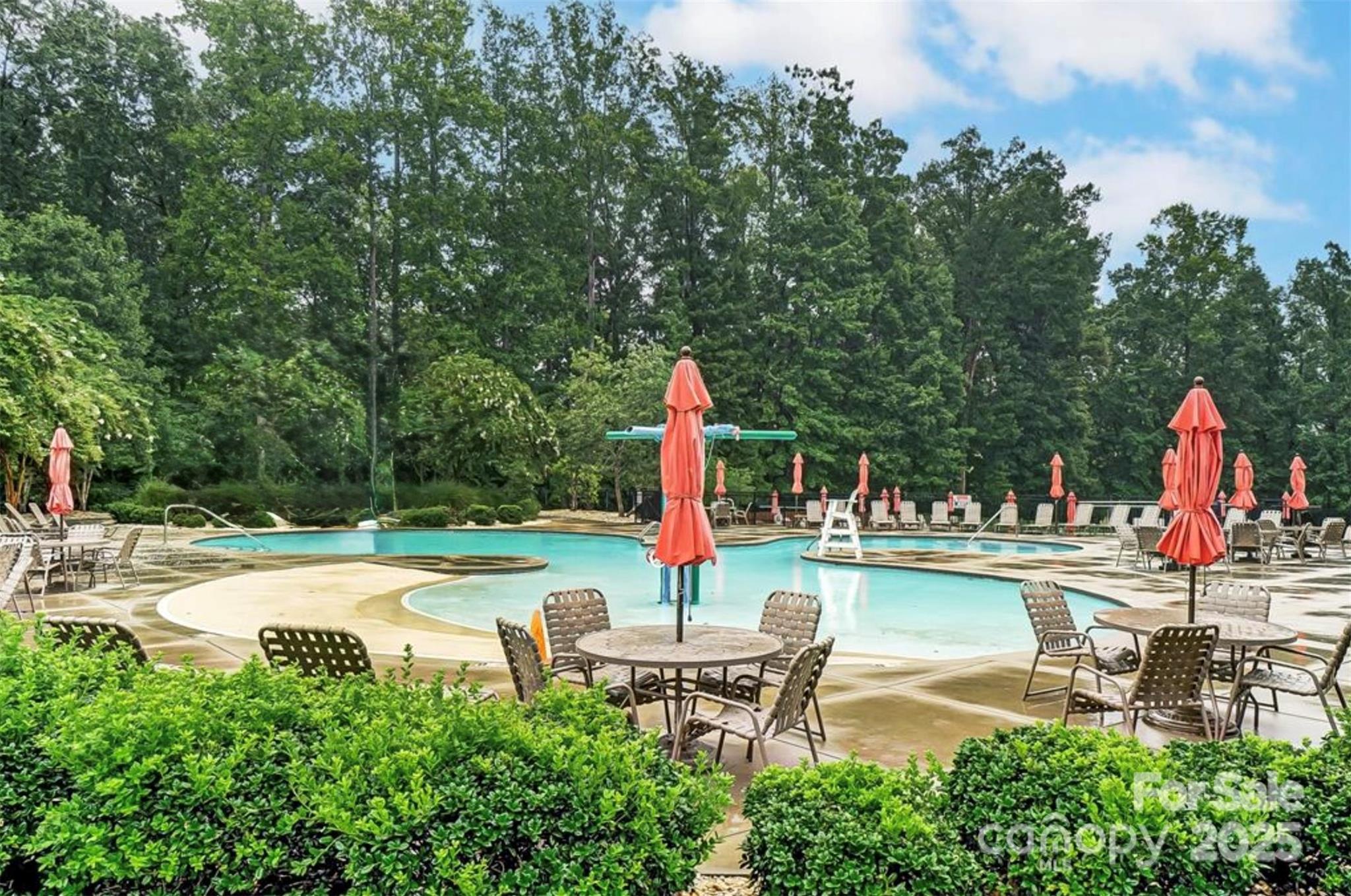 The Vineyards on Lake Wylie - Residential