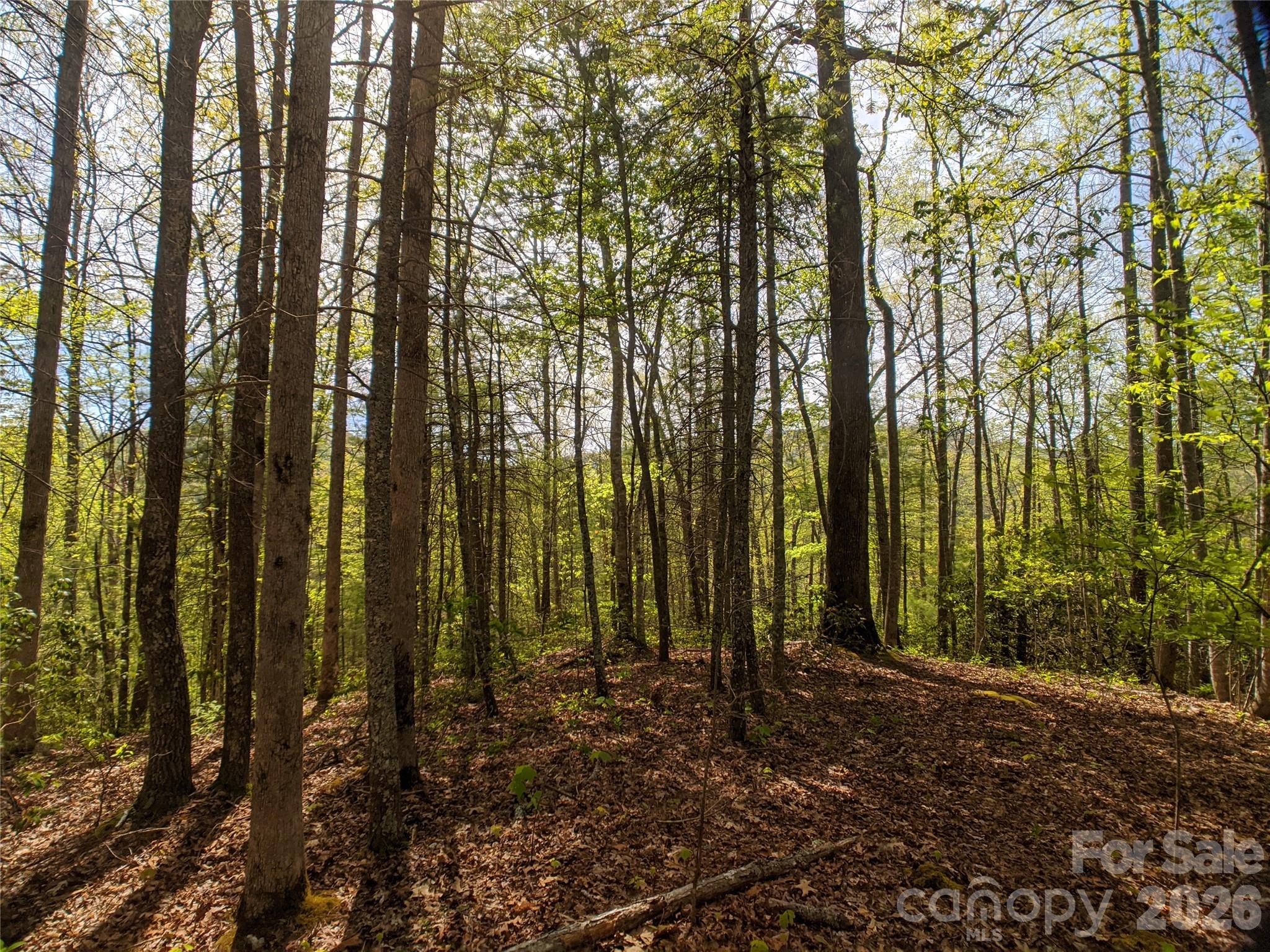 Bear River Lodge - Land