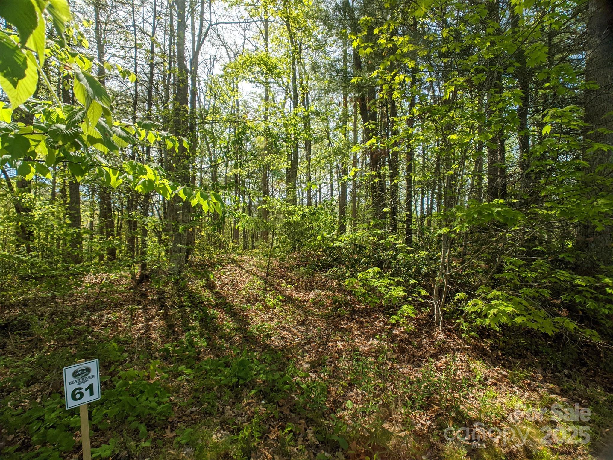 Bear River Lodge - Land