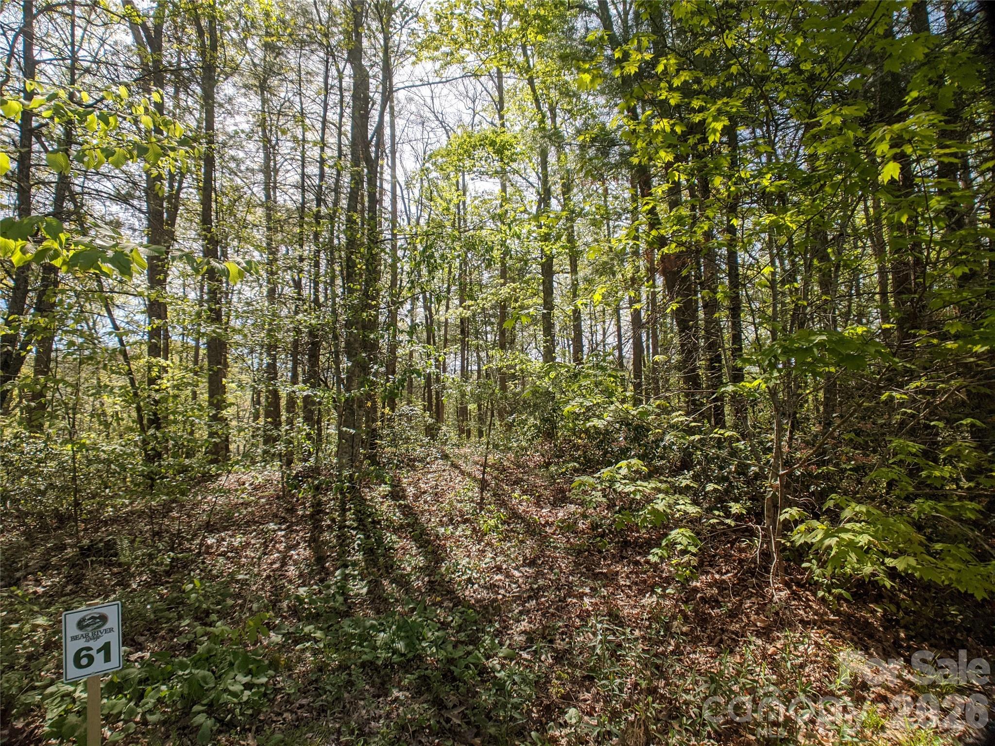 Bear River Lodge - Land