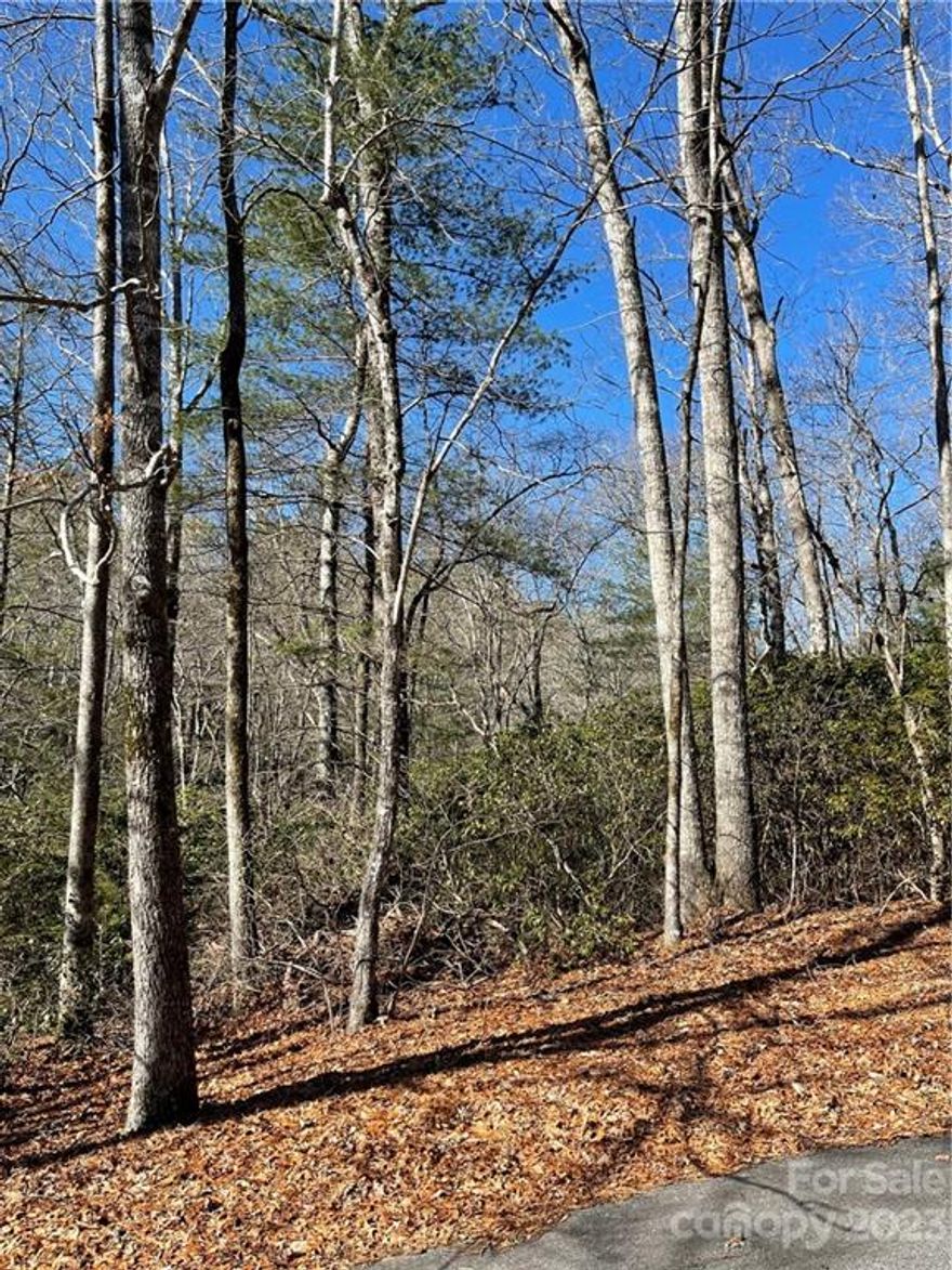 Nice buildable lot in a private, peaceful subdivision.  The gentle sloping lot contains mature hardwoods and a beautiful creek bordering one side. Clear a view to the creek or enjoy the privacy of the hardwoods.  The lot is just across the street from the world renown trout waters of the East Fork River.