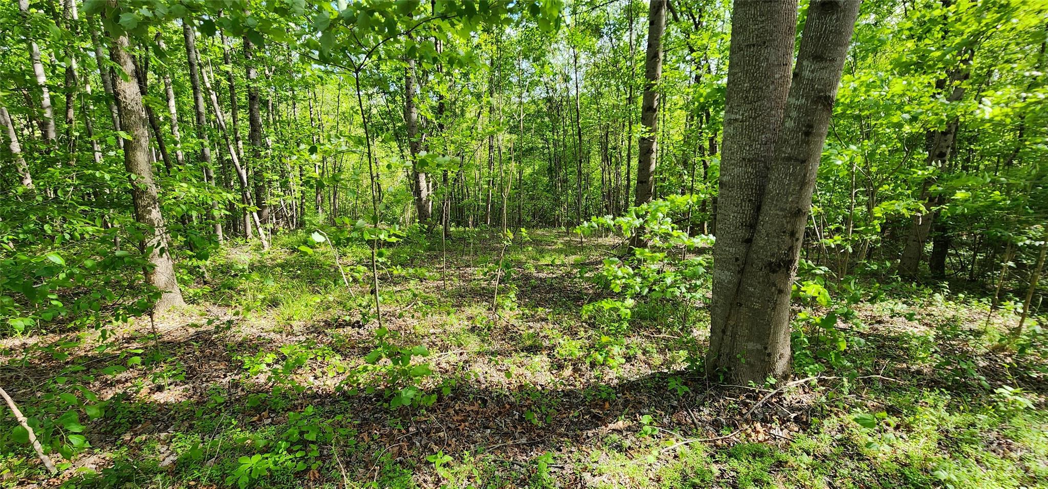 Mountain Laurel Estates - Land