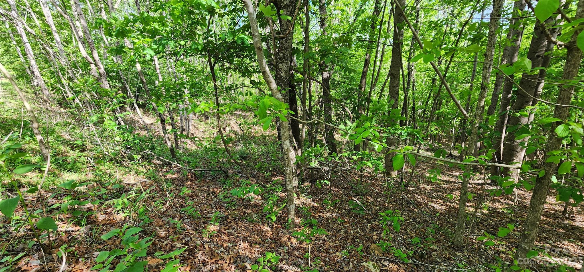 Mountain Laurel Estates - Land