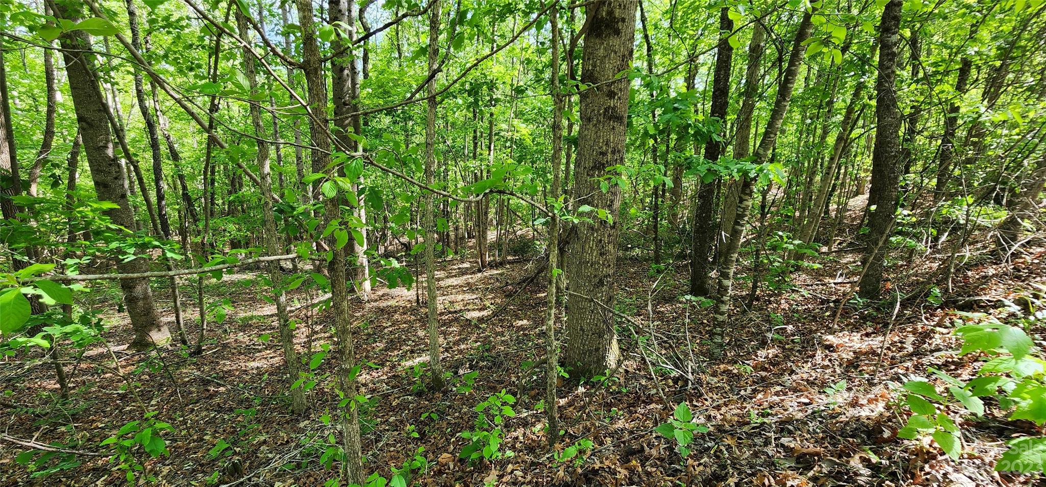 Mountain Laurel Estates - Land