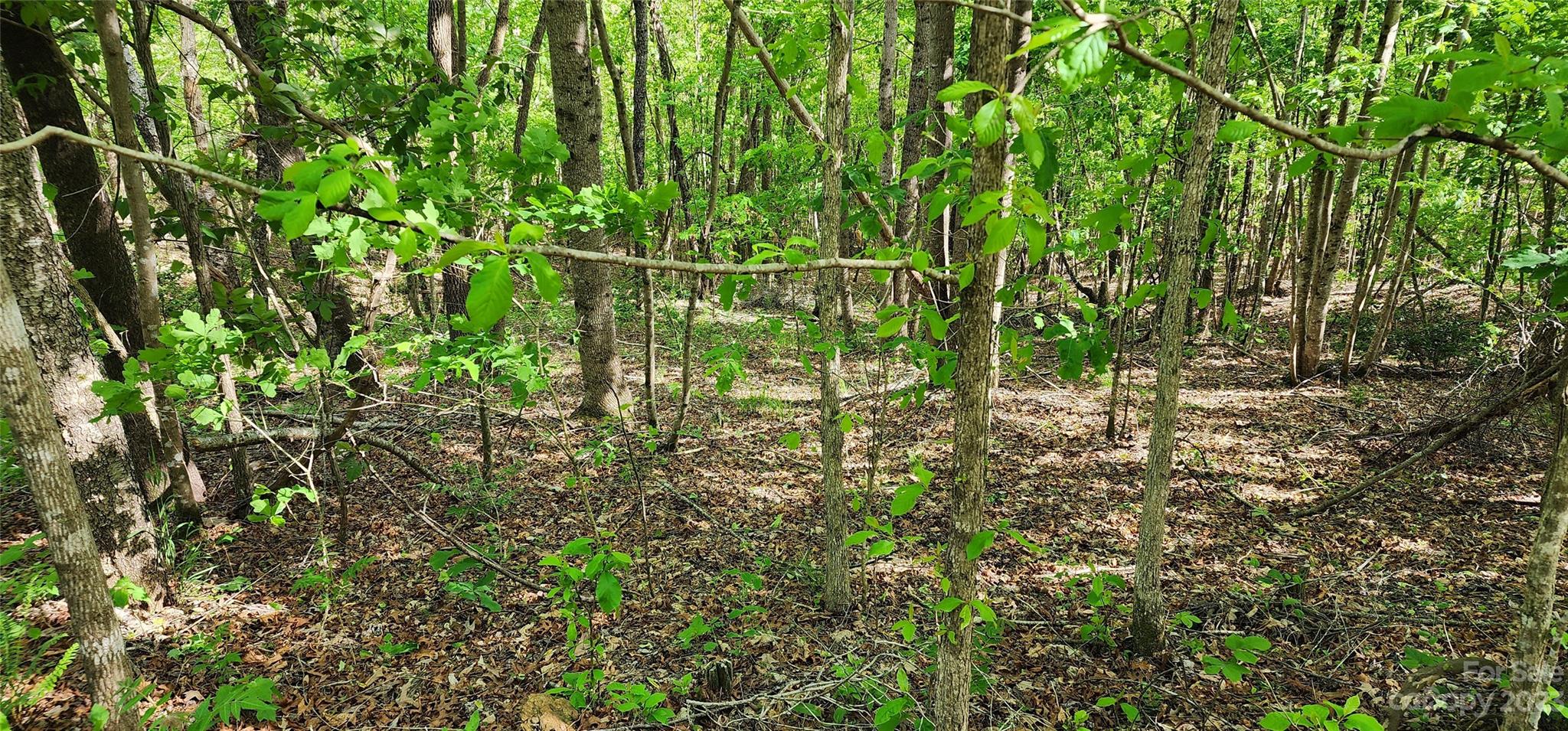 Mountain Laurel Estates - Land