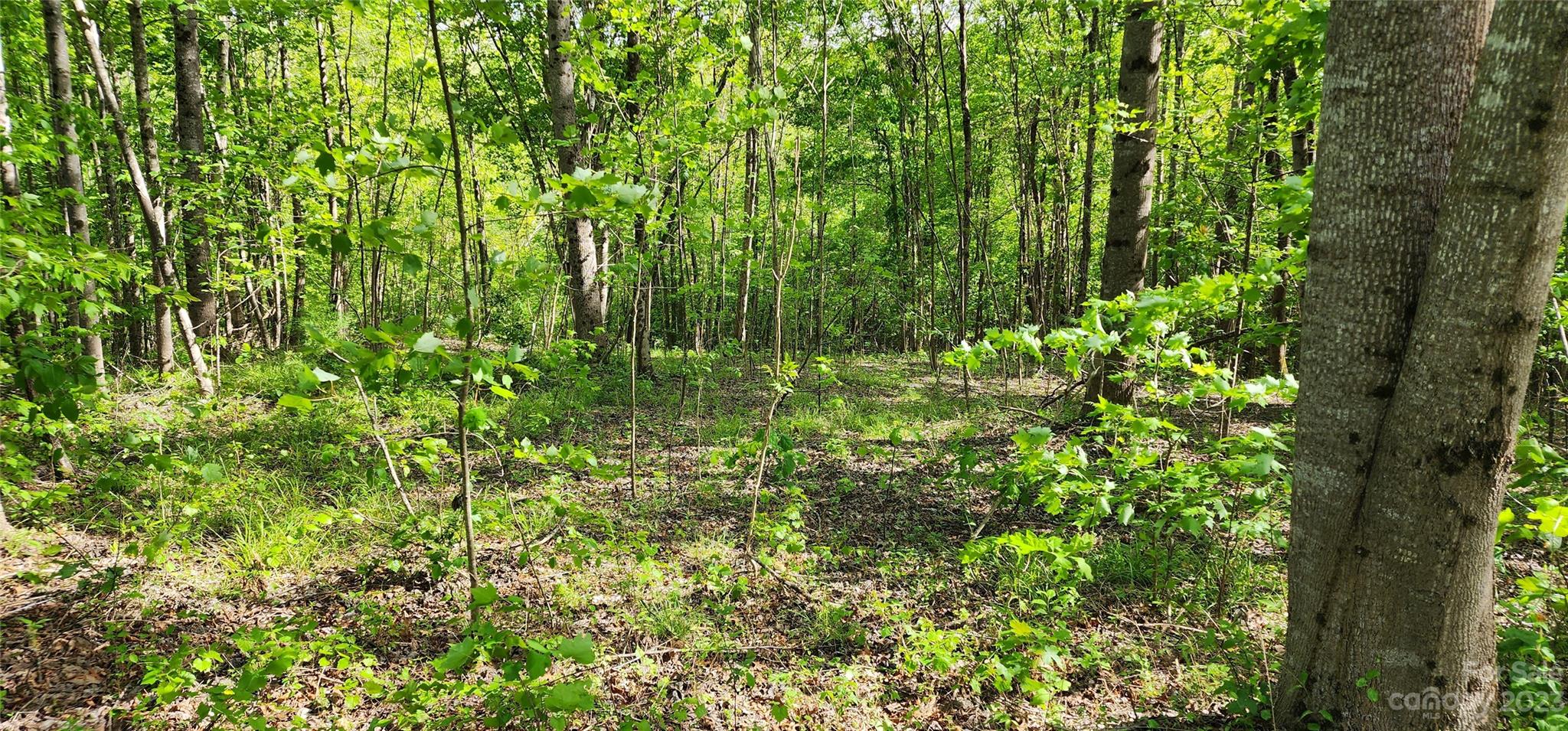 Mountain Laurel Estates - Land