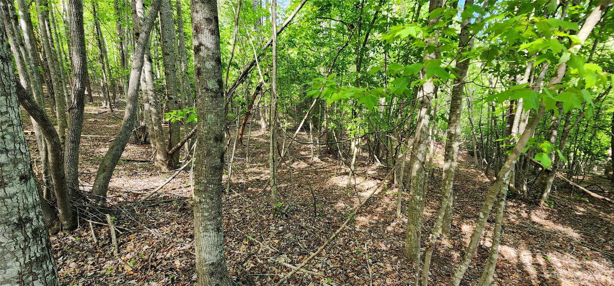 Mountain Laurel Estates - Land